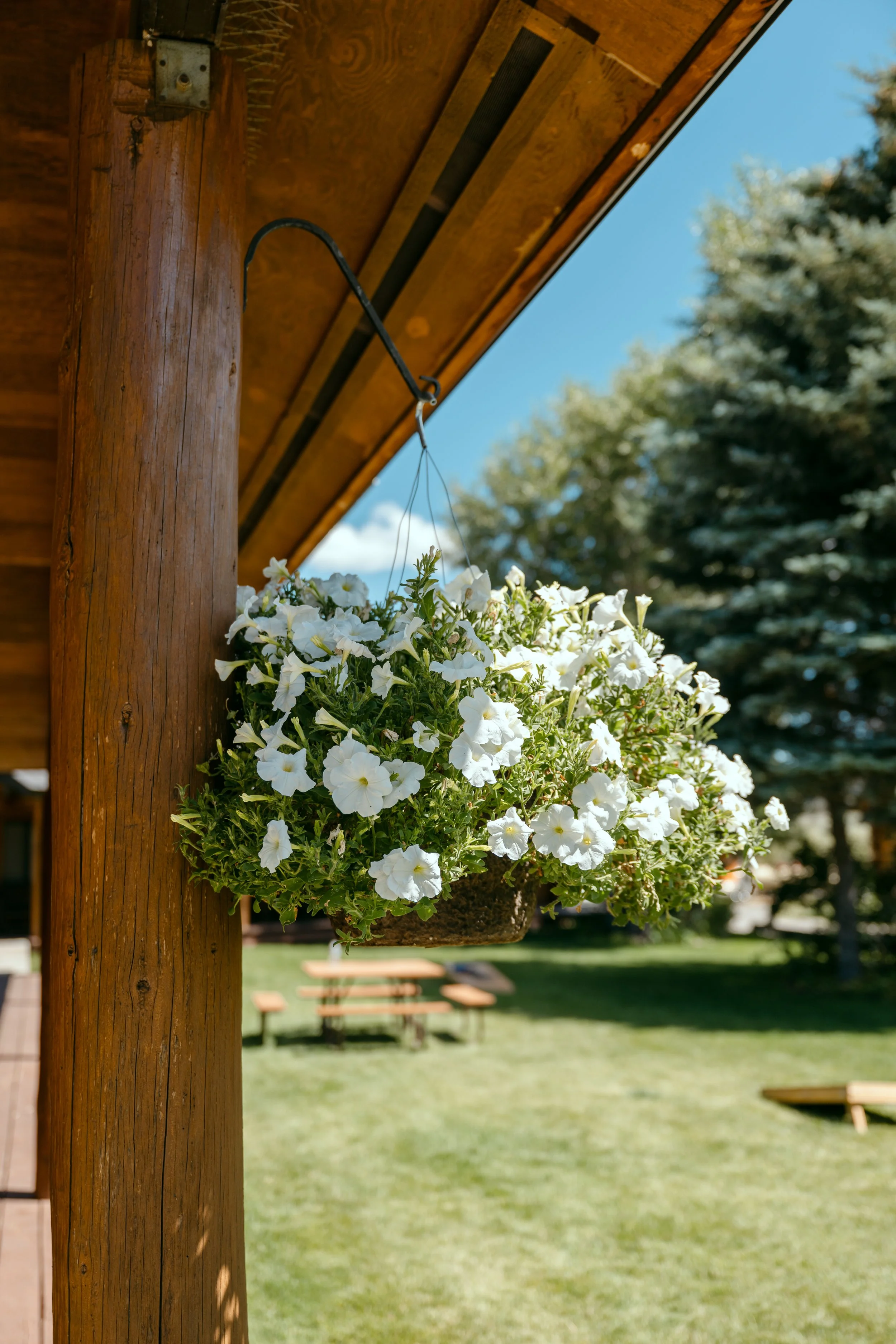 kayla-beard-jackson-hole-elopement-1.jpg
