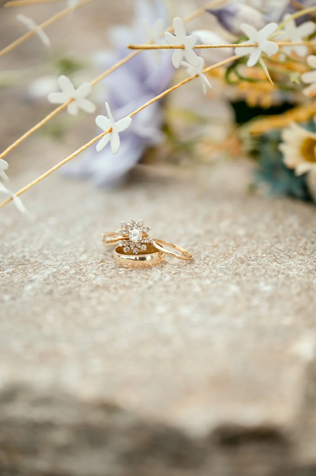 hahnxchildresselopement-189.jpg