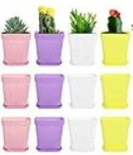 Winterfest Pot Planting