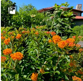 WEEKLY - Stewards of the Garden Work time