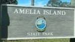 Amelia Island Book Club