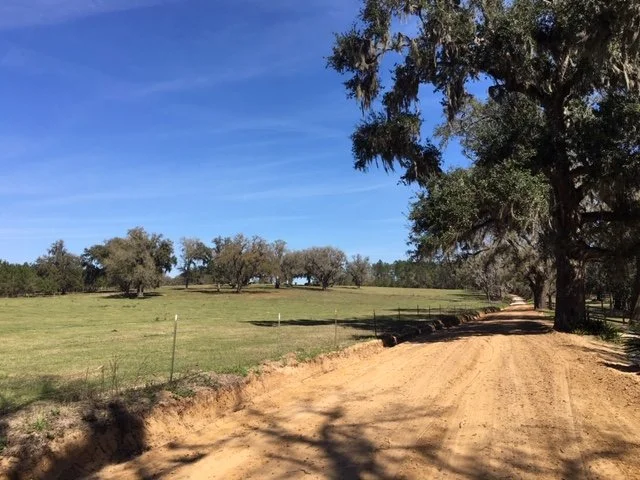 Former Joel Walker Land, Walker Cemetery Road