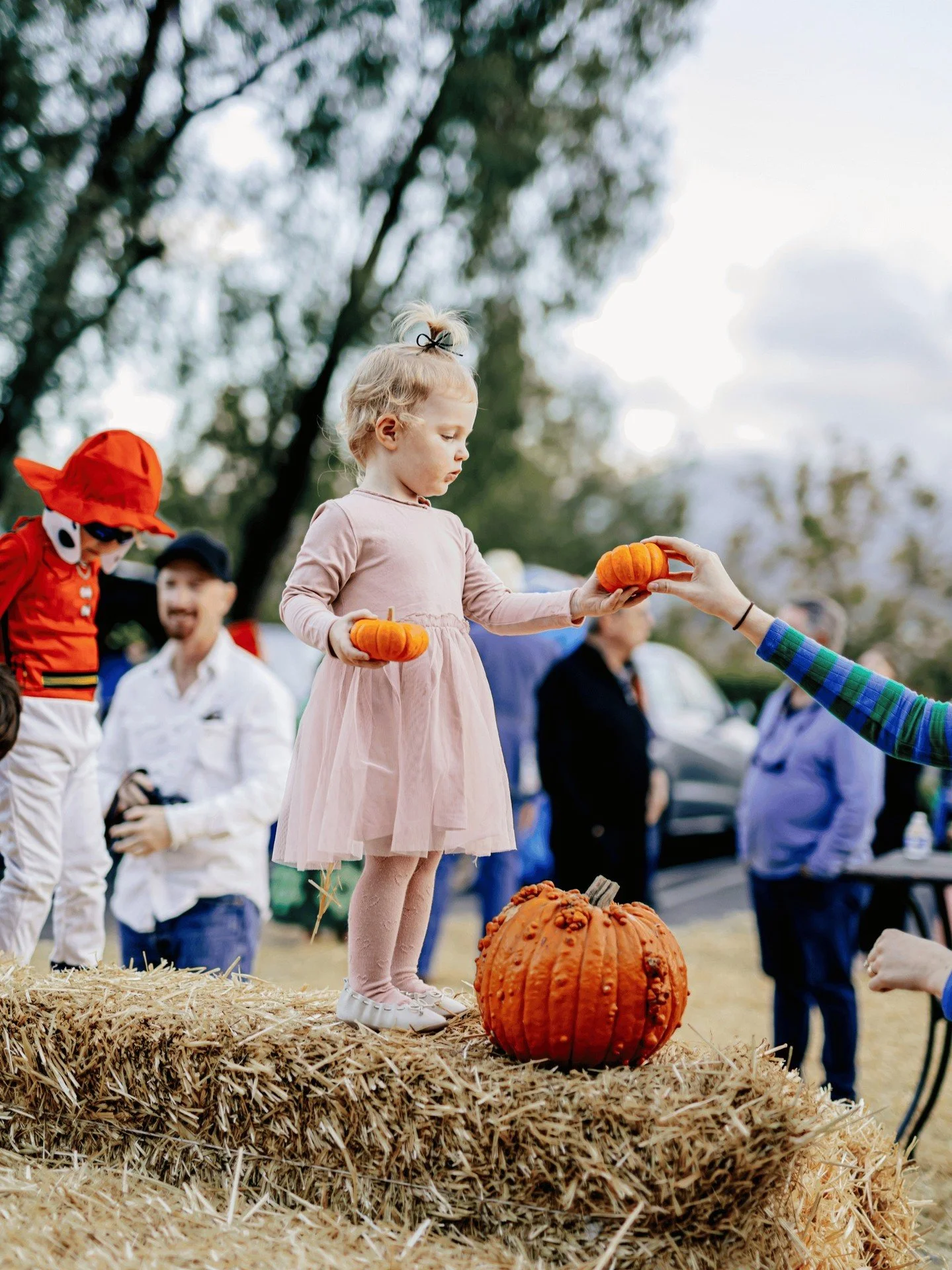 Celebrate the fall season with us!
.
.
Our 7th annual Harvest festival is back on October 25 from 4-7pm! Join us for food, friends, and family fun. RSVP on our website! 
.
.
#LivingOaksChurch