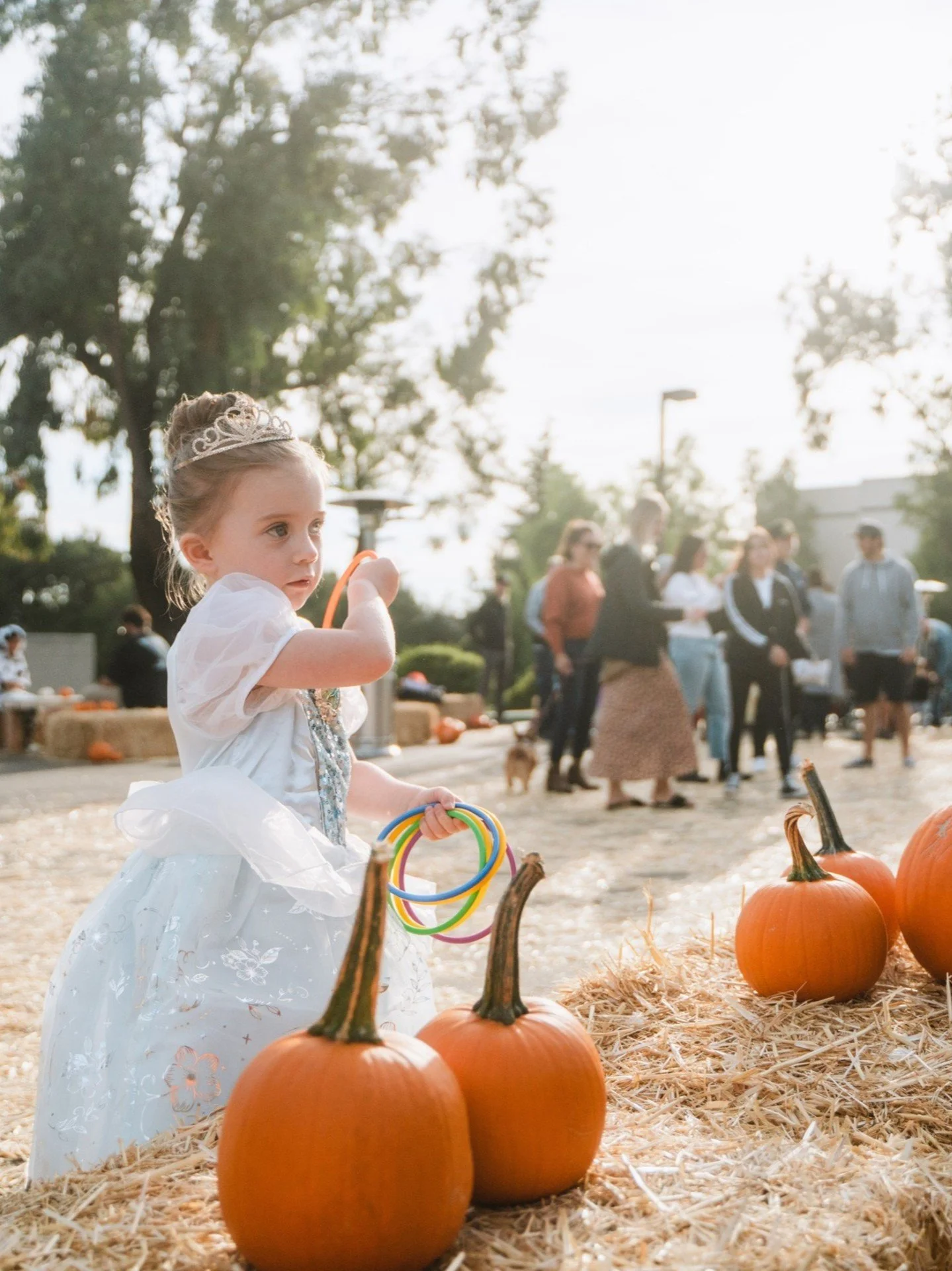 Don't miss the Harvest Festival this Sunday! RSVP on our website. We can't wait to see you there! 
.
.
#LivingOaksChurch