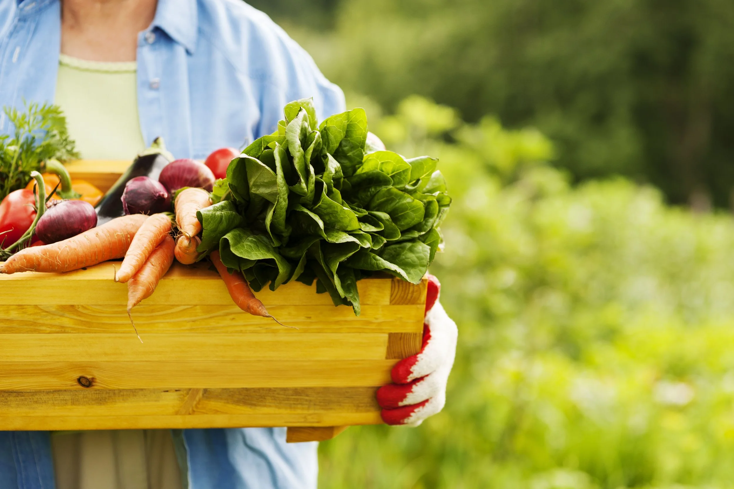 The Ultimate Healthy Grocery List for Effortless Weekly Meal Prep