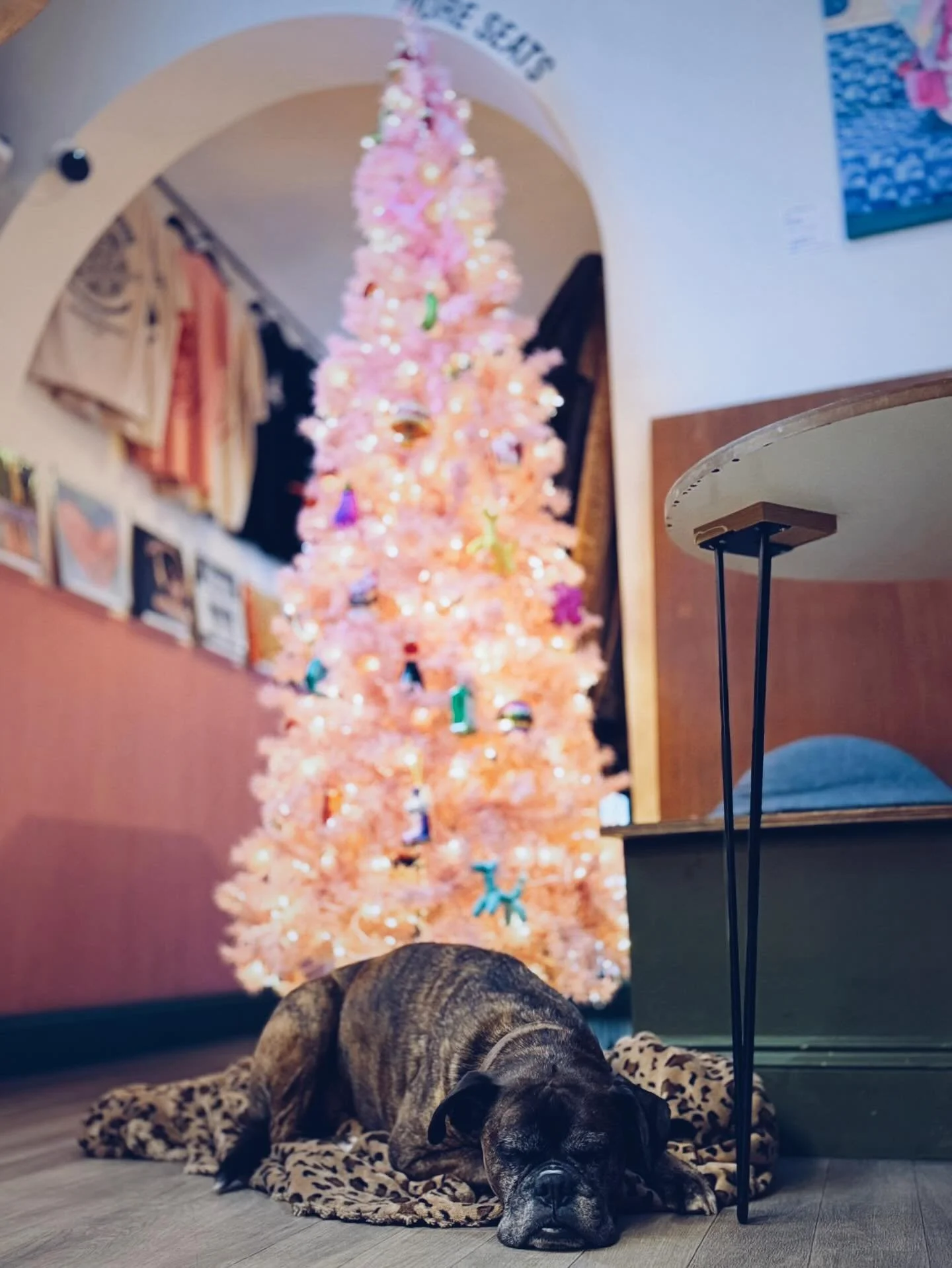 🎄 DECEMBER IS HERE!! 🎄 
It&rsquo;s a strange time of year where the final push to the end of the year seems monumental. But it&rsquo;s okay because it&rsquo;s sprinkled with glitter and you have a baileys in your hand...

Hold on to your knickers h