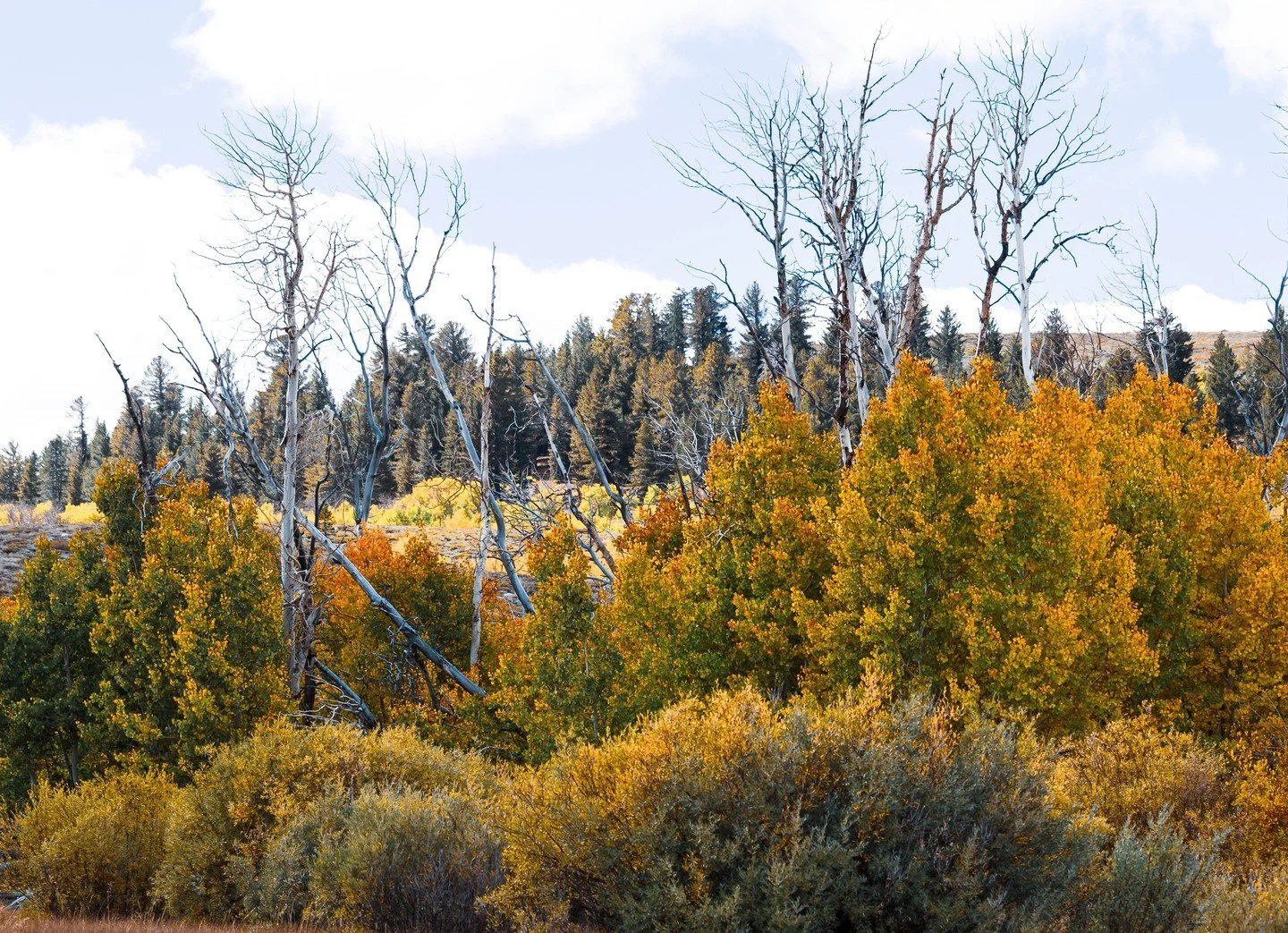 Fall is in full swing. Catch a glimpse of the colors before the snow falls! Please note, Footloose Sports will be closing at 5pm tonight! We will re-open at 8am tomorrow morning.