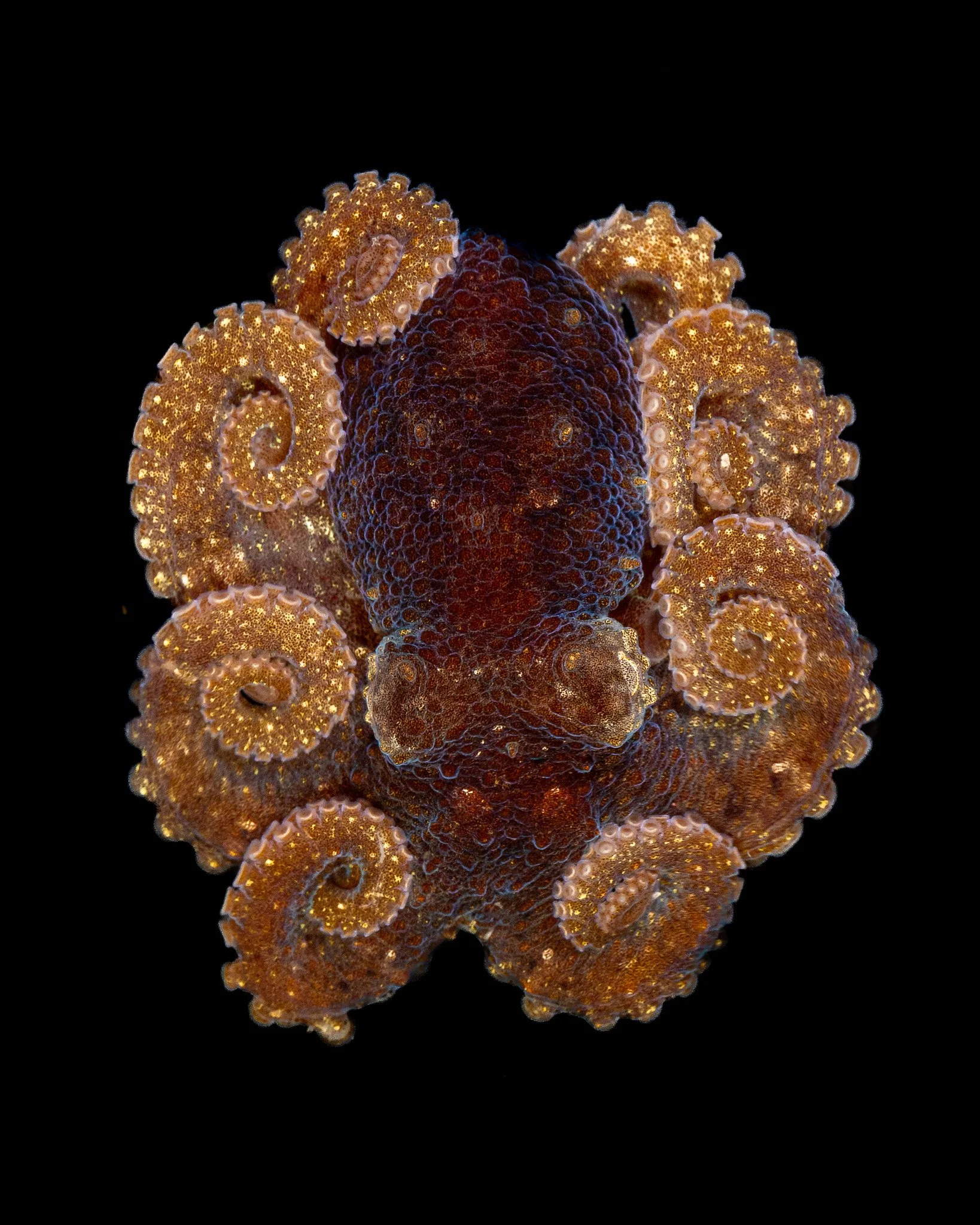 C02A9024.jpg