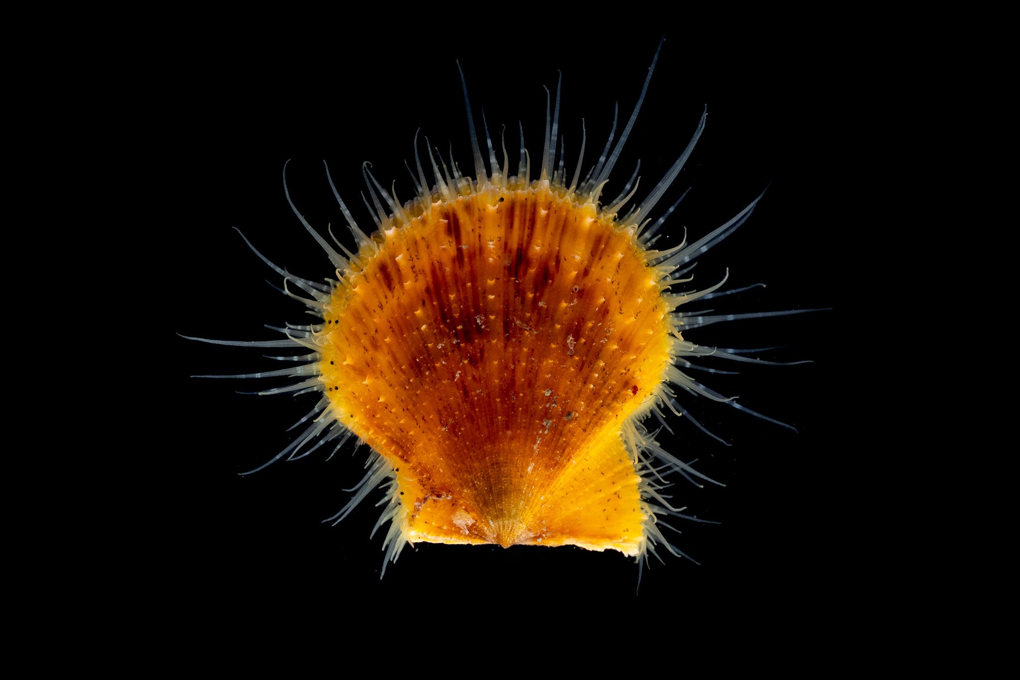 C02A3974.jpg