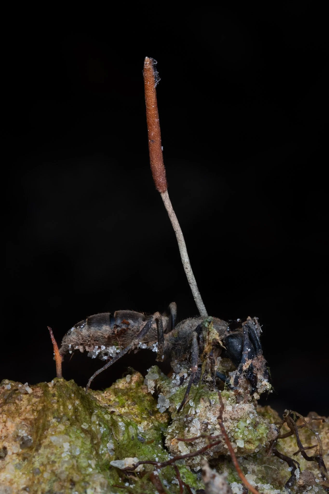 C02A3249.jpg