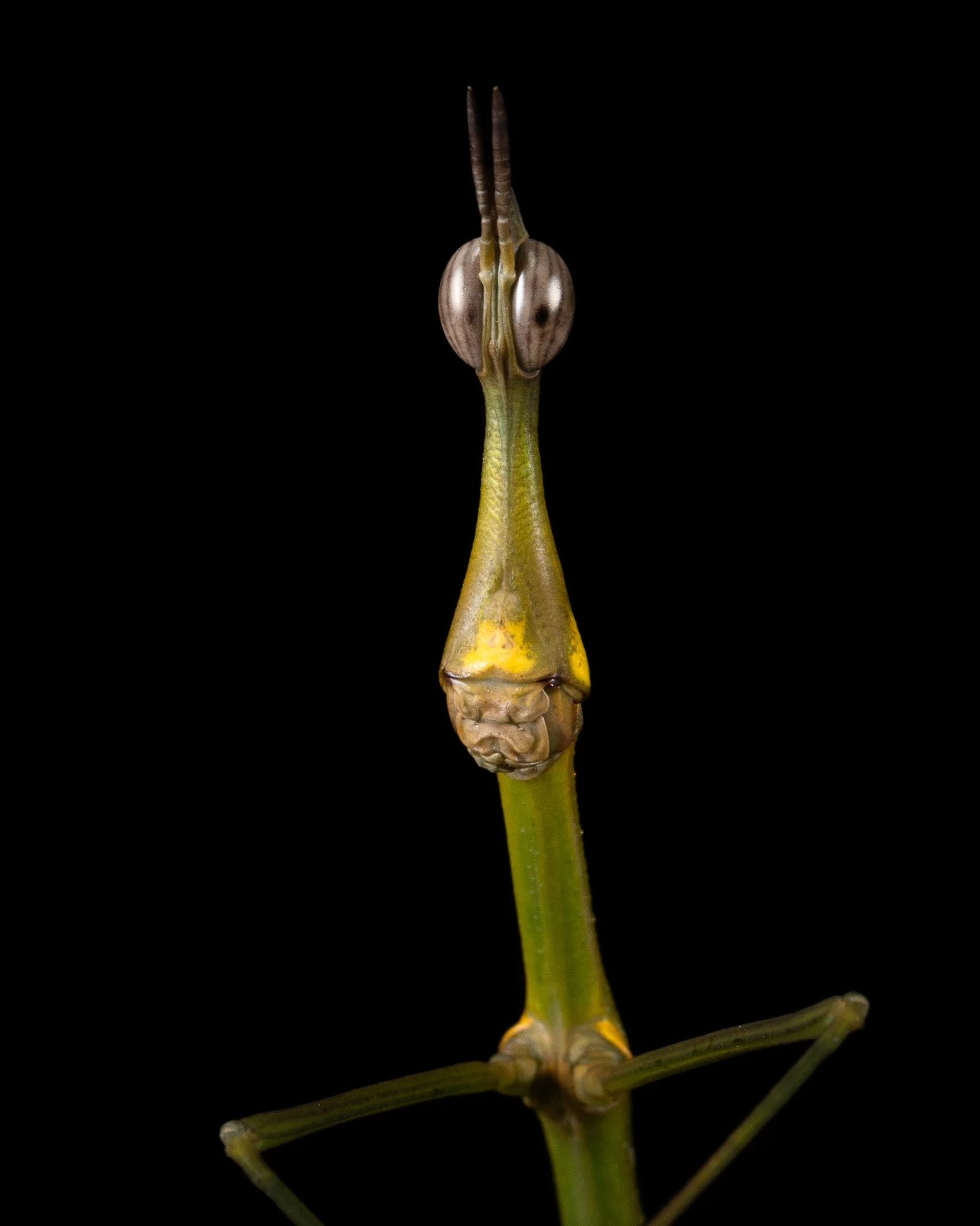 C02A1385.jpg
