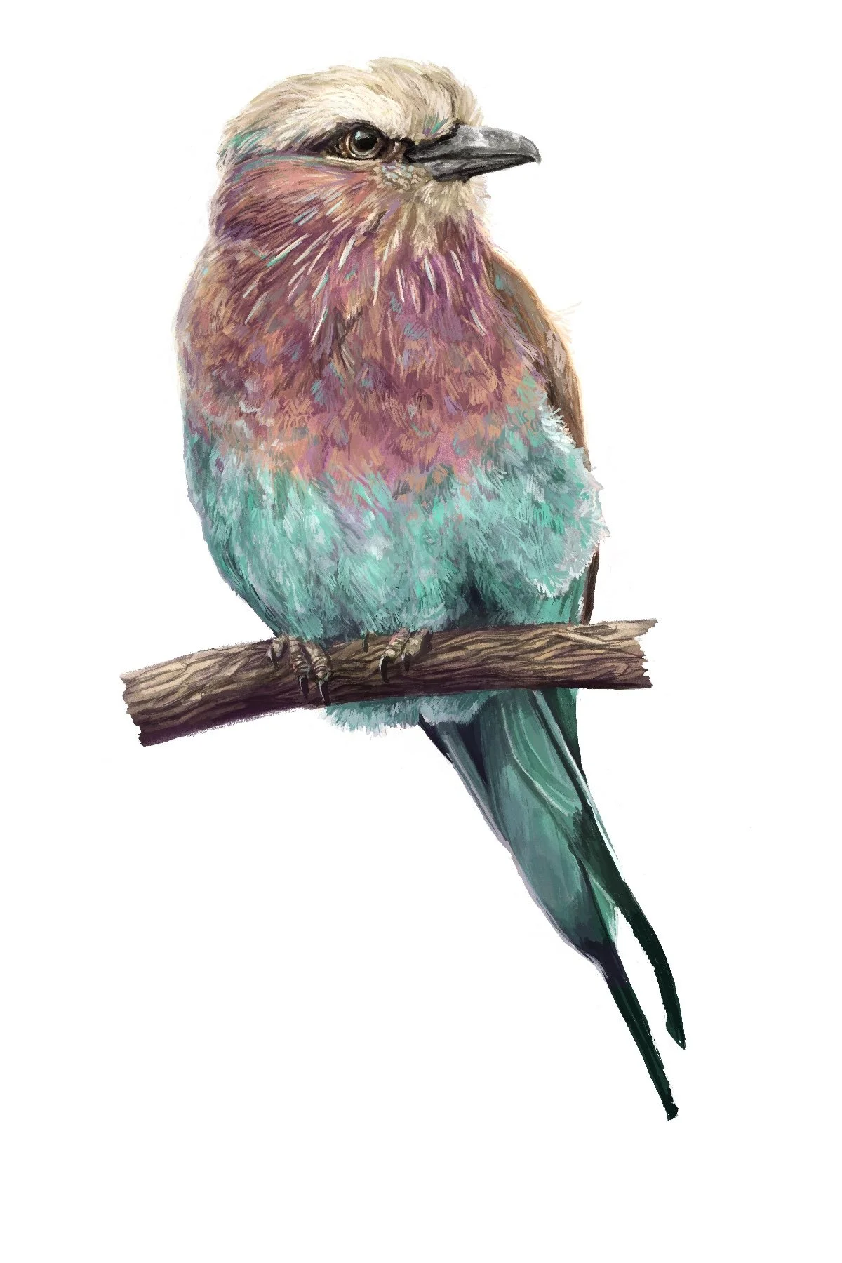 roller.jpg