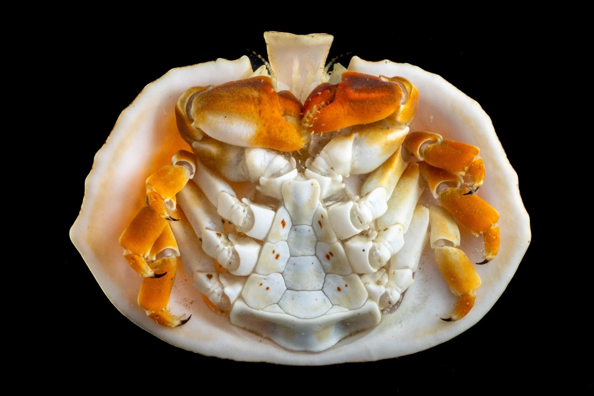 C02A4367.jpg
