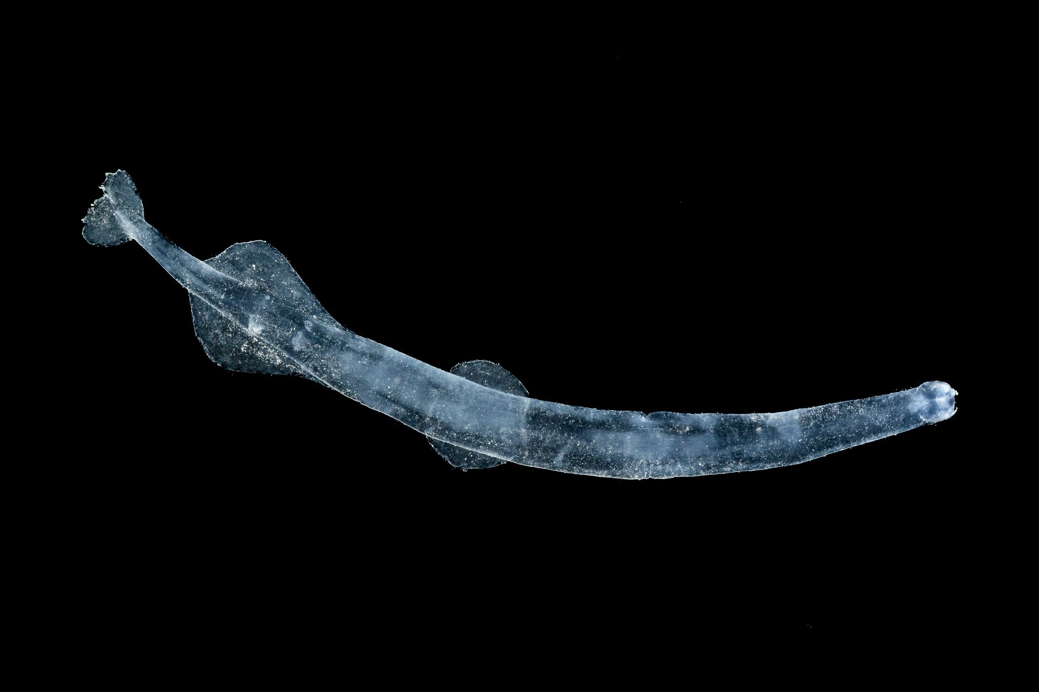 C02A4323.jpg