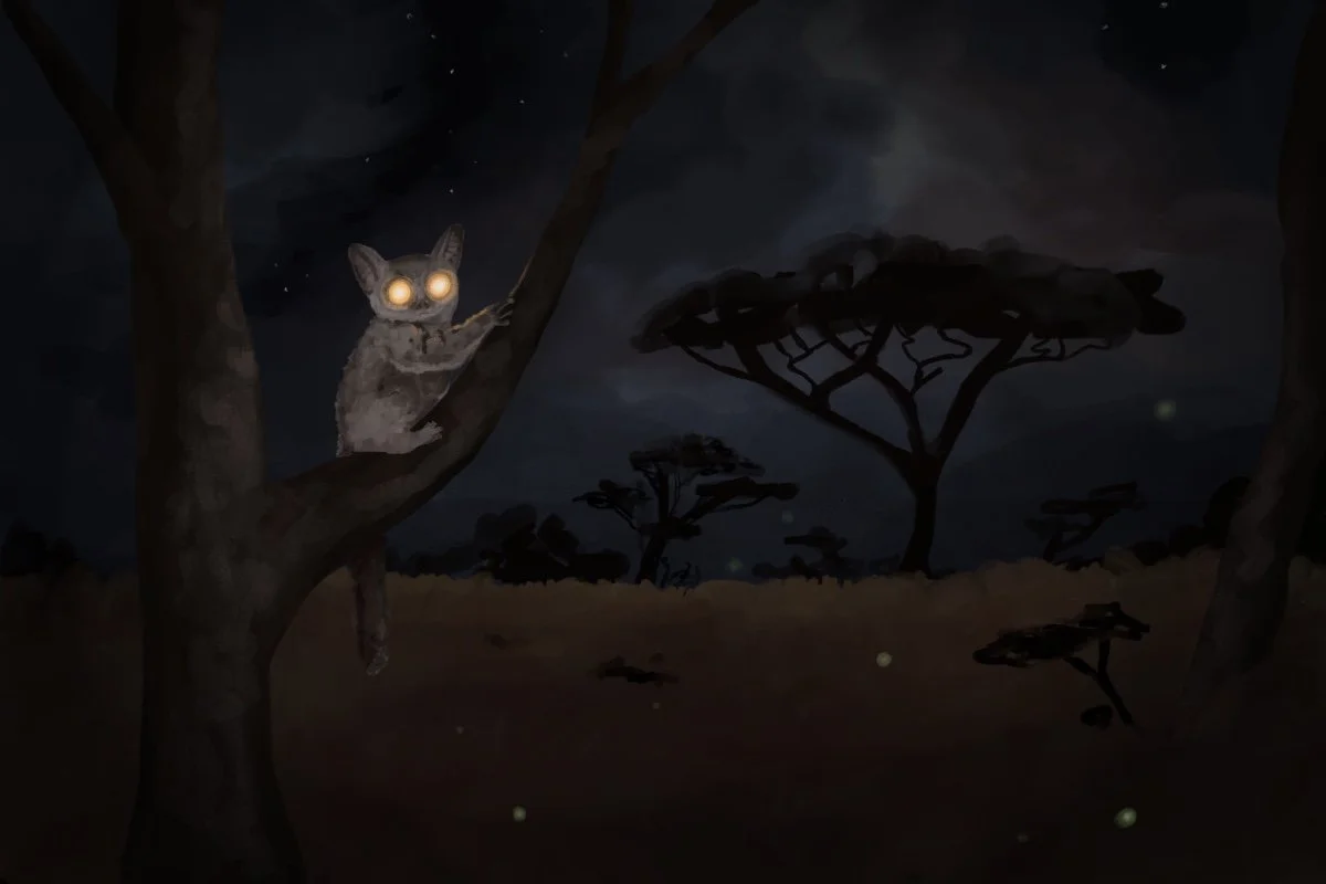 Untitled_Artwork 3.jpg