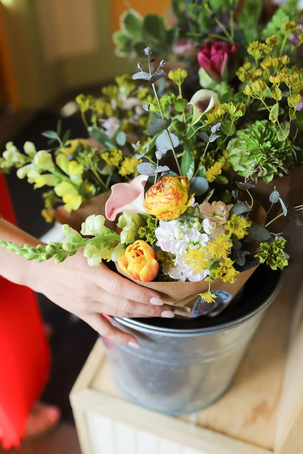 Gardening in Portland, Maine: What to Know Before You Start Planting