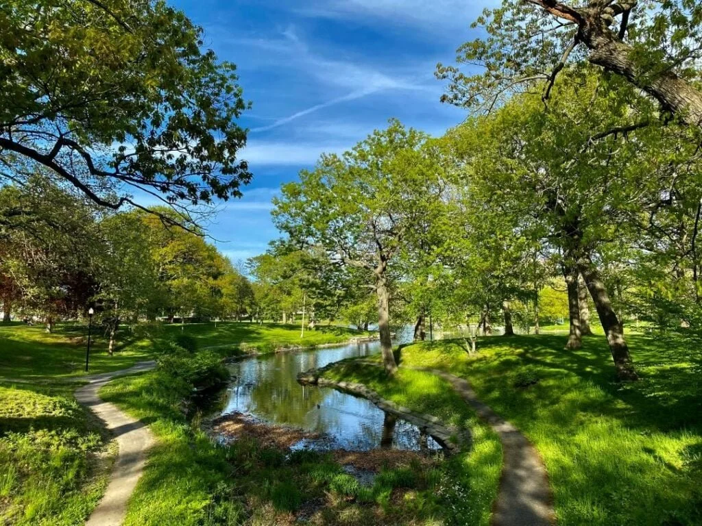 A scenic park with a winding creek and two walking paths surrounded by lush green trees under a blue sky.