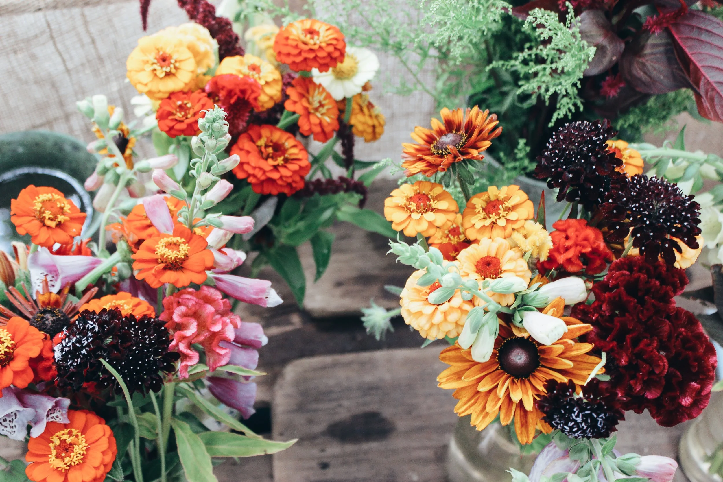 Colorful arrangement of orange, yellow, white, and dark red flowers in vases on a wooden surface.