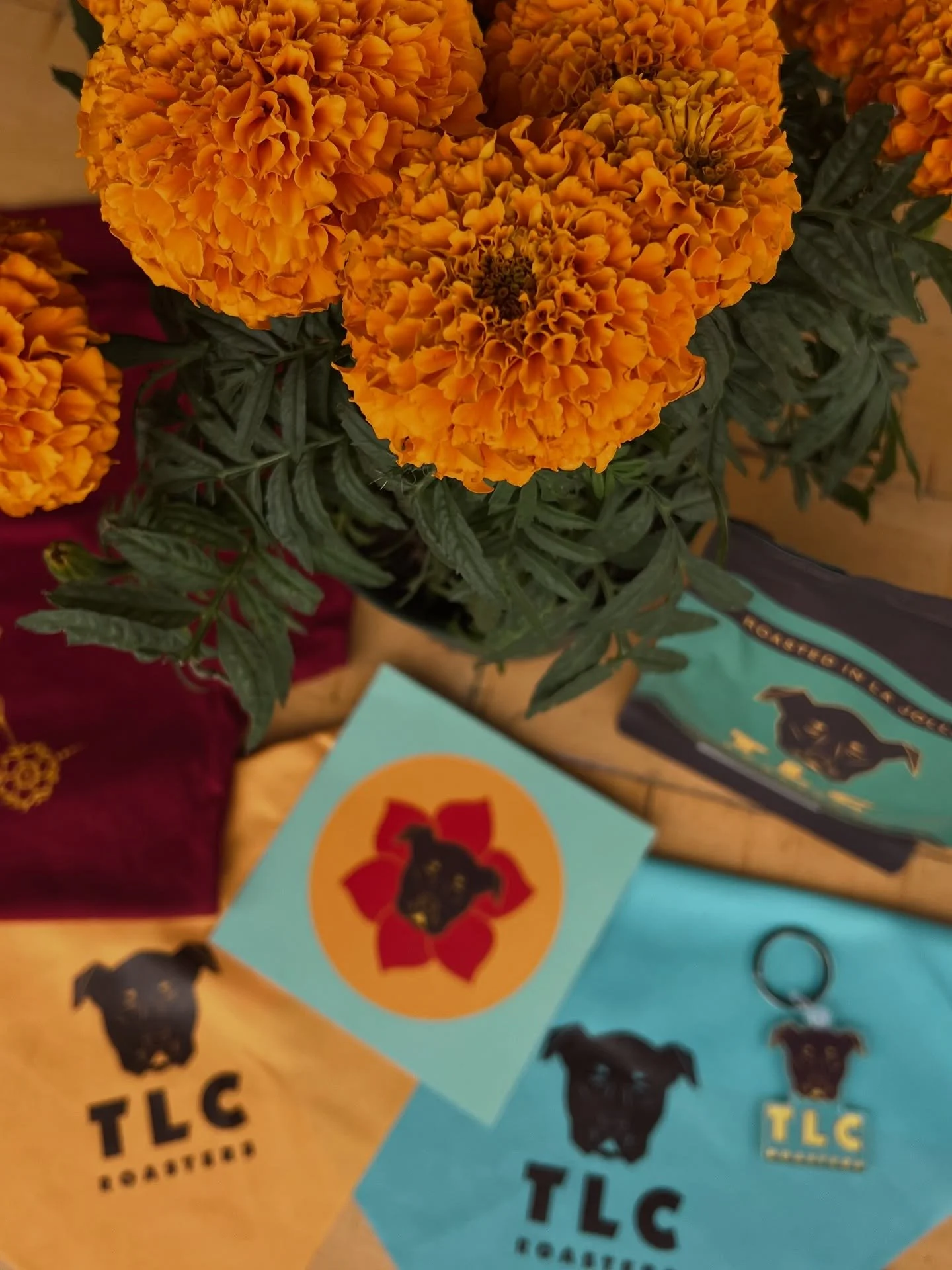 Lots of new TLC x Flower Pot goodies …. 🤩🤩🤩
Be the first to see them tomorrow at Dog-O-Ween!!
10am - 1pm @kitchenatmcasd 
Bring your pups to some see us!! 🎃
#lajolladogoween #lajollahalloween #lajollalovespets #flowerpotcafe #flowerpot