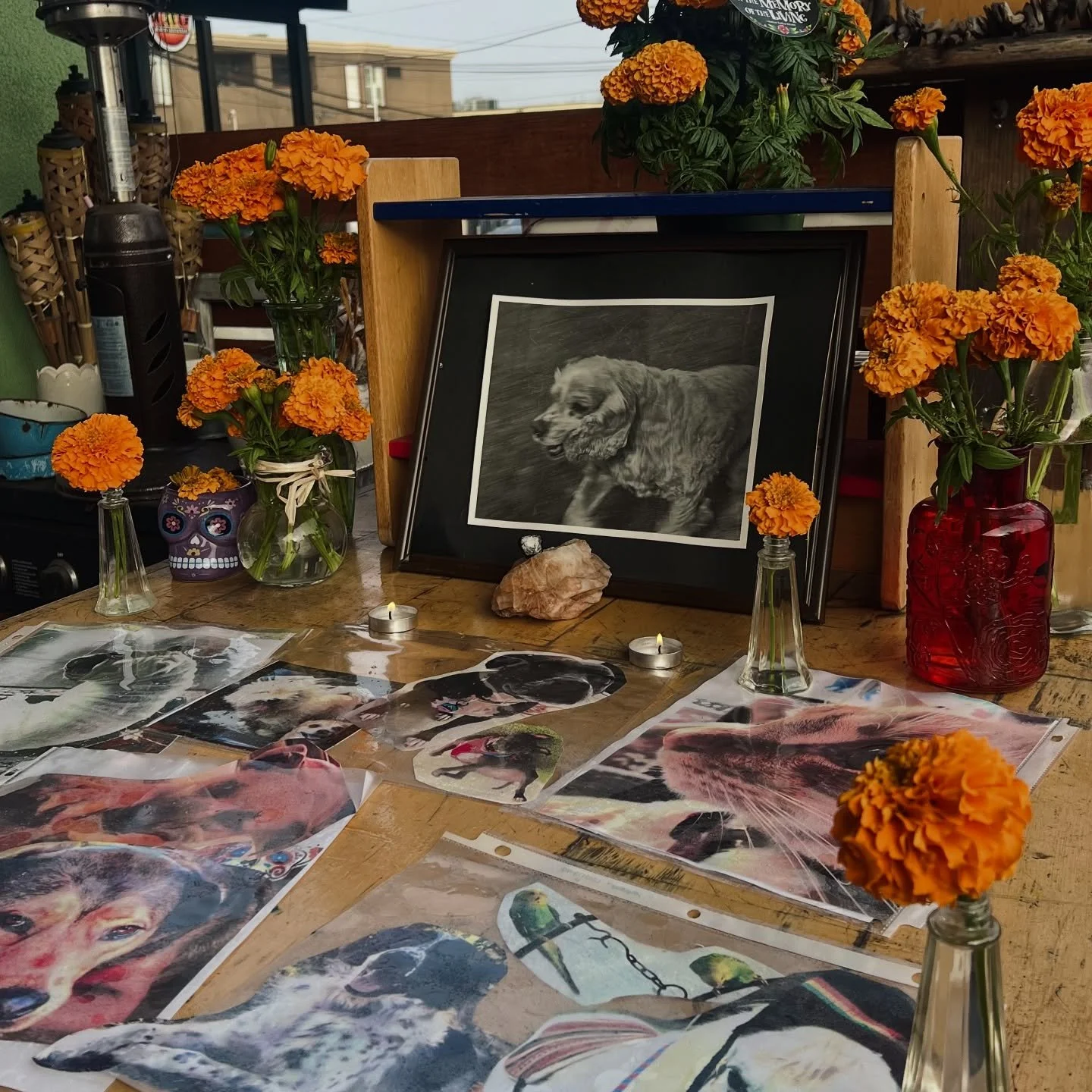 Happy Halloween!! Stop by for some pre-trick or treating coffee to get you through the night 🧡
+
Add something to our altar for D&iacute;a de Los Muertos 🥀💀

#halloweenlajolla #lajollahalloween #sandiegohalloween #sandiegoholiday #diadelosmuertos