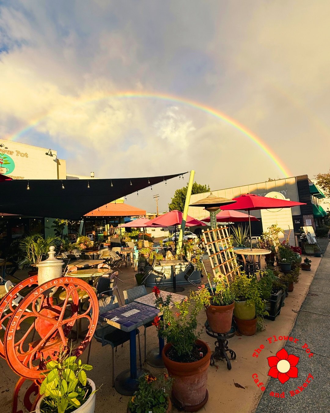 Got the January blues??

We&rsquo;ve got the cure ❤️🌺❤️🌺

We are always here for you. On happy days and sad days. Our community is everything 😌🫶

#safehaven #cafelove #flowerpotcafe #flowerpotlajolla #lajollacommunity