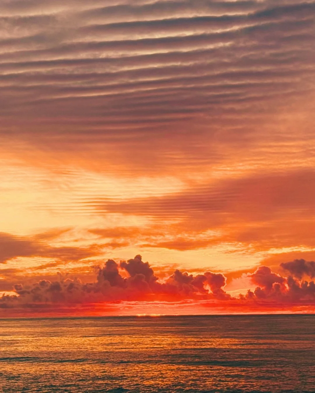Flower Pot beach day! (We are closed for the rest of the day) Enjoy the day and we will see you at 6:30am tomorrow!

#flowerpotdayoff #flowerpotbeachday #flowerpotcafe #sandiegocafe
