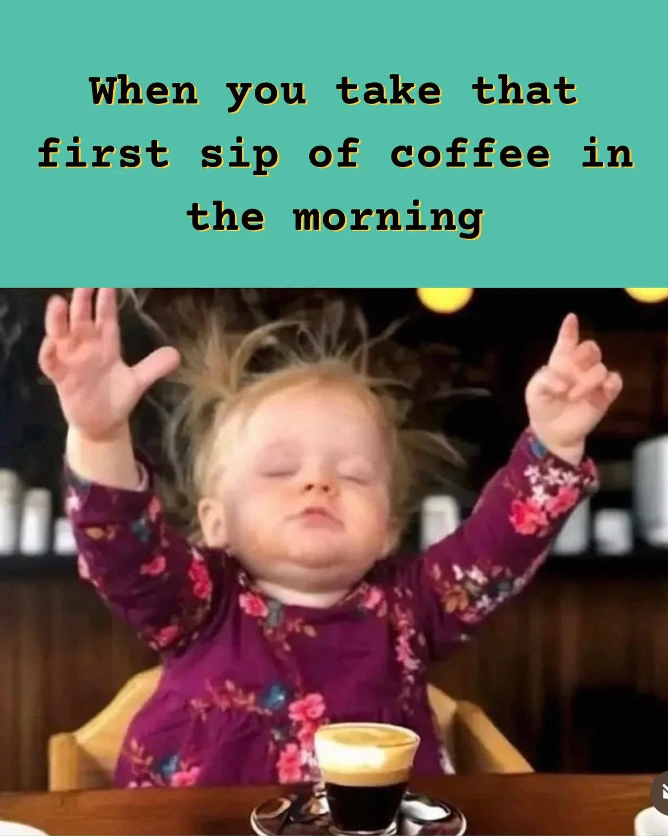 Ya&rsquo;ll know the feeling 🫨🤩😌

Get your fix today - open 6:30am - 6:30pm

#happysunday #flowerpotcafe #organiccoffeelajolla #sandiegocoffeenetwork