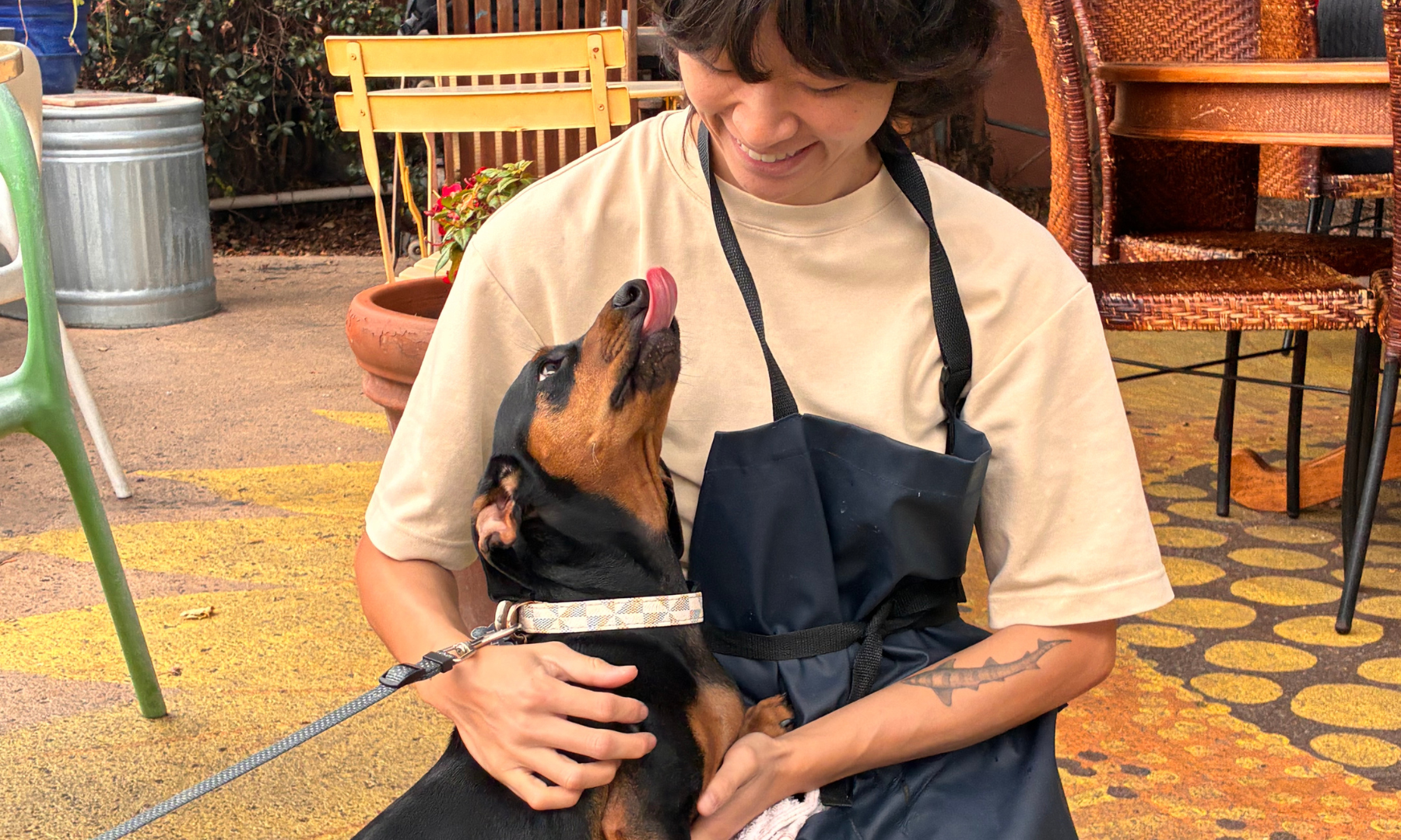 Supporting You and Your Foster Dog Event
