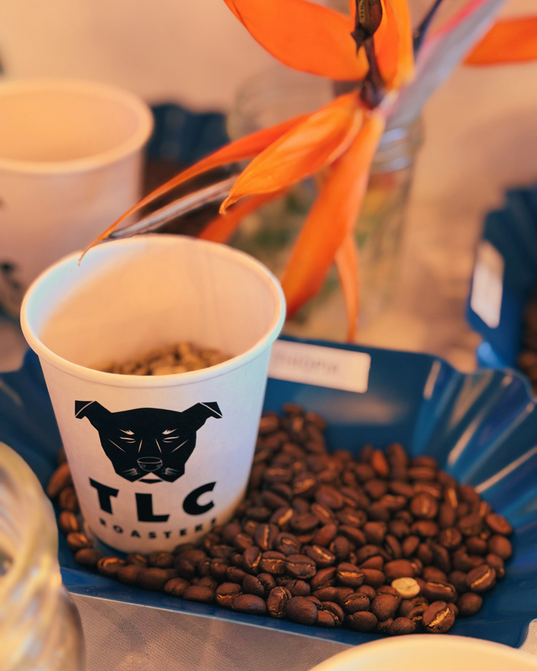 Coffee + Roasting 101 