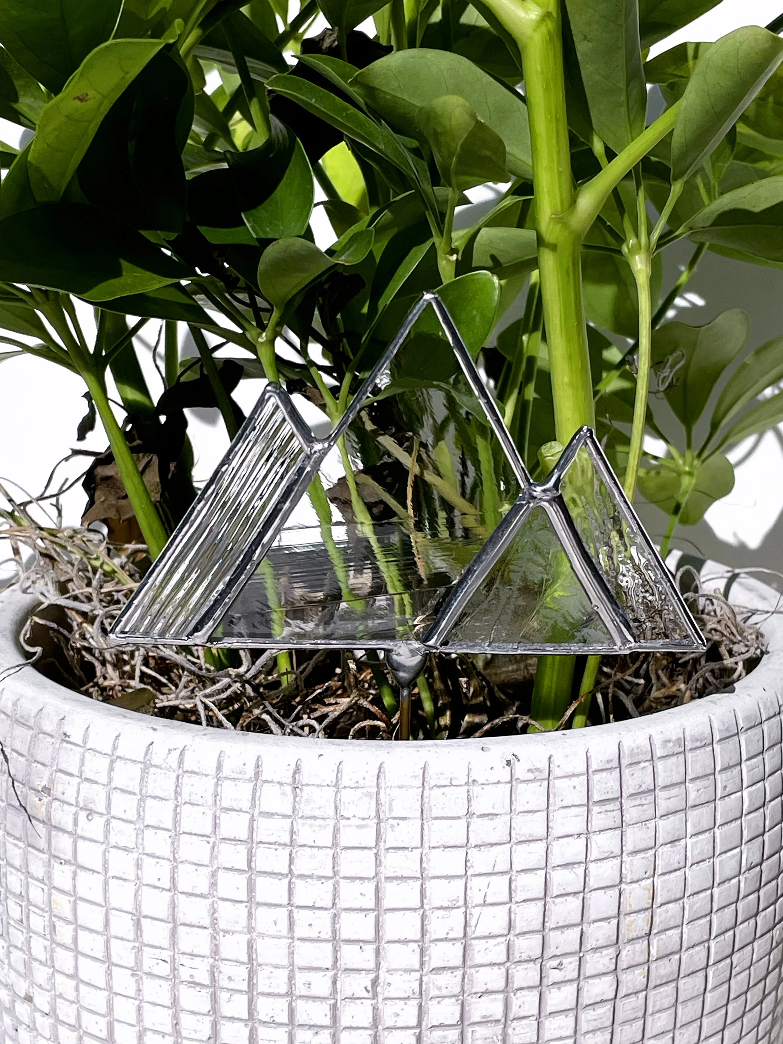 Clear Mountain Plant Stake