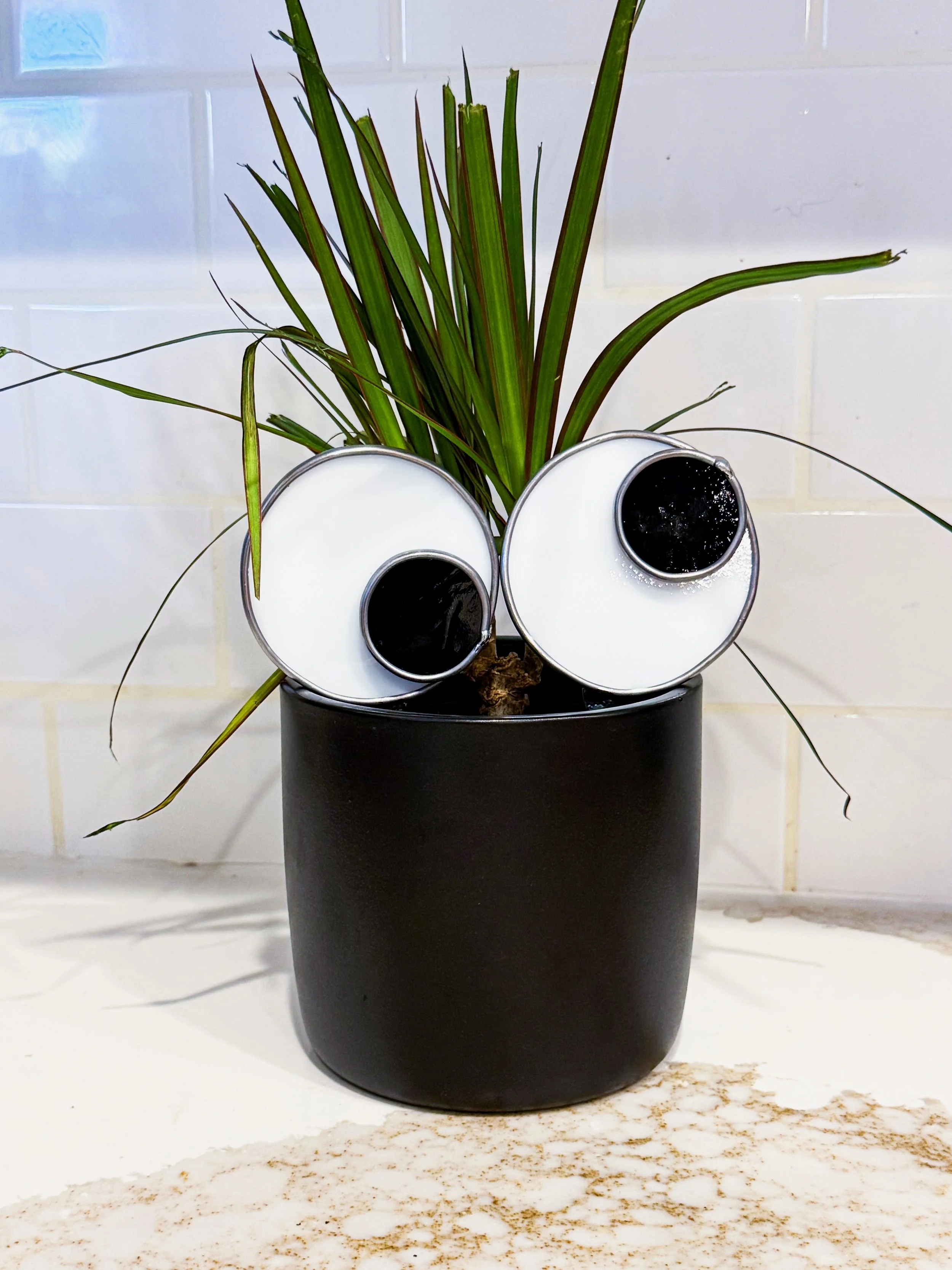 Googly Eye_1 copy.jpeg