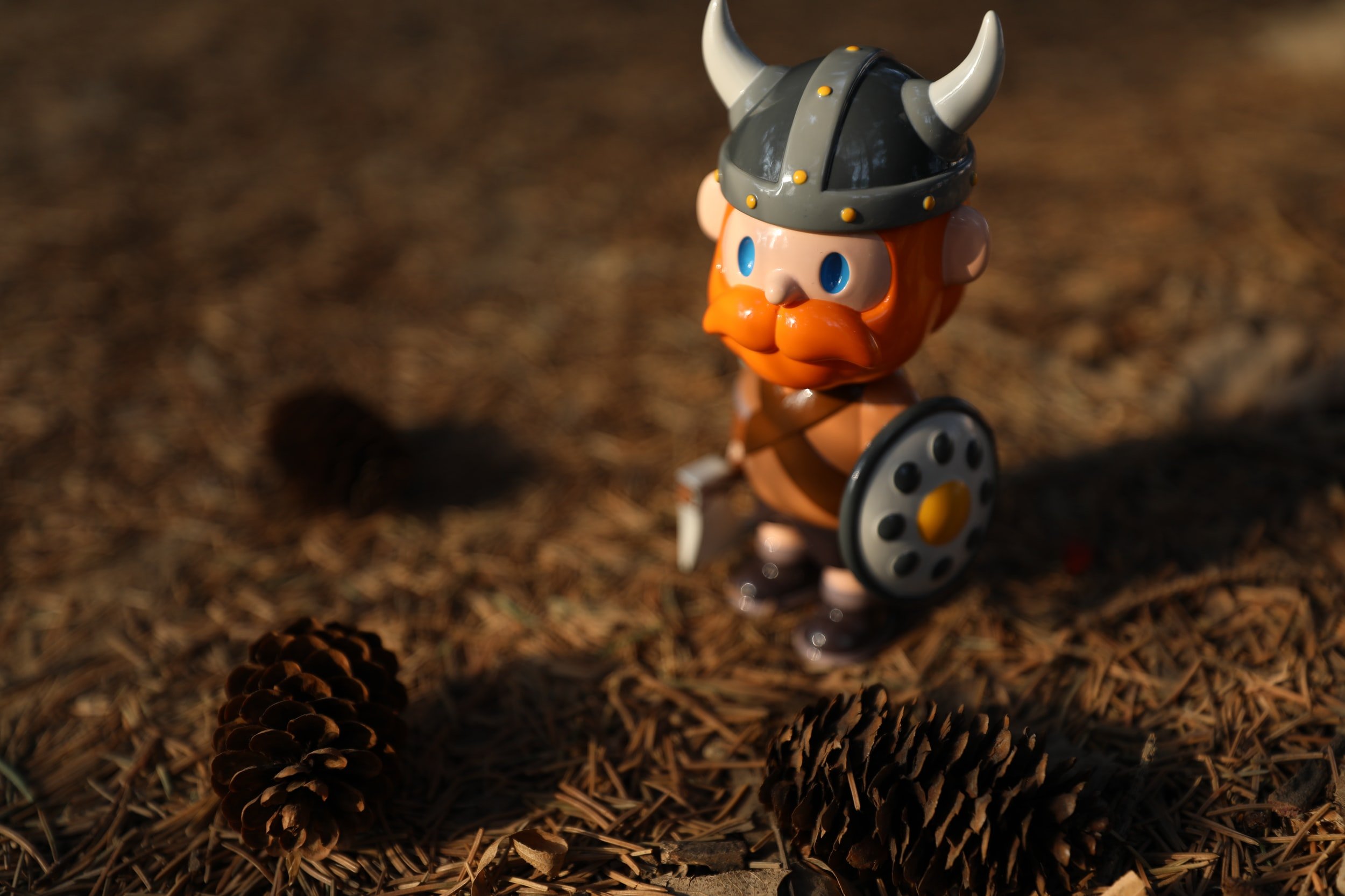 Viking Man.