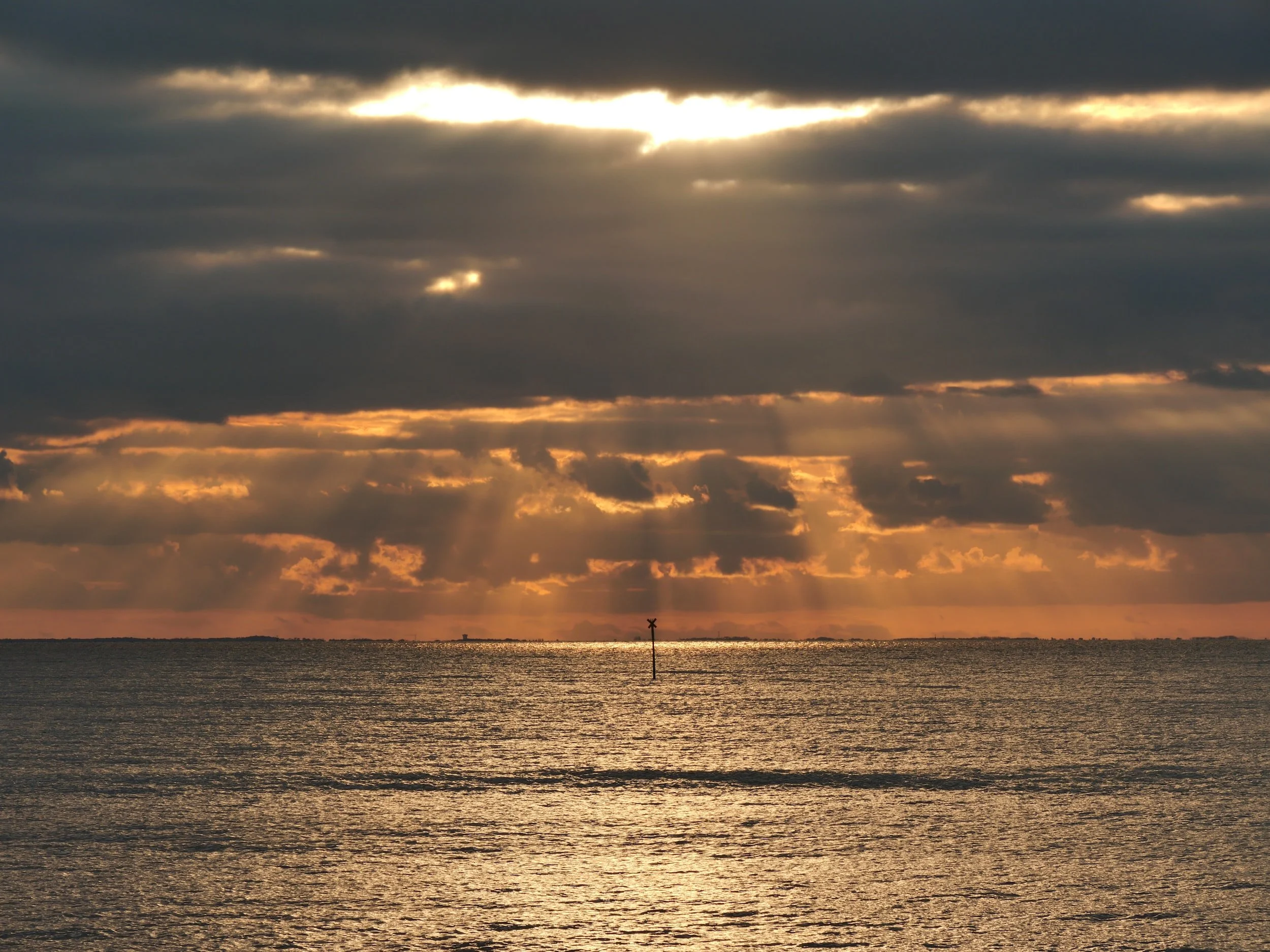 Beauty Breaks Through.