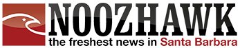 NOOZHAWK-knockout logo.jpg