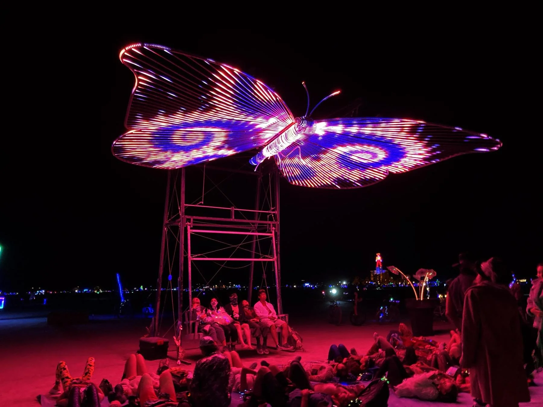 mariposa2.jpg