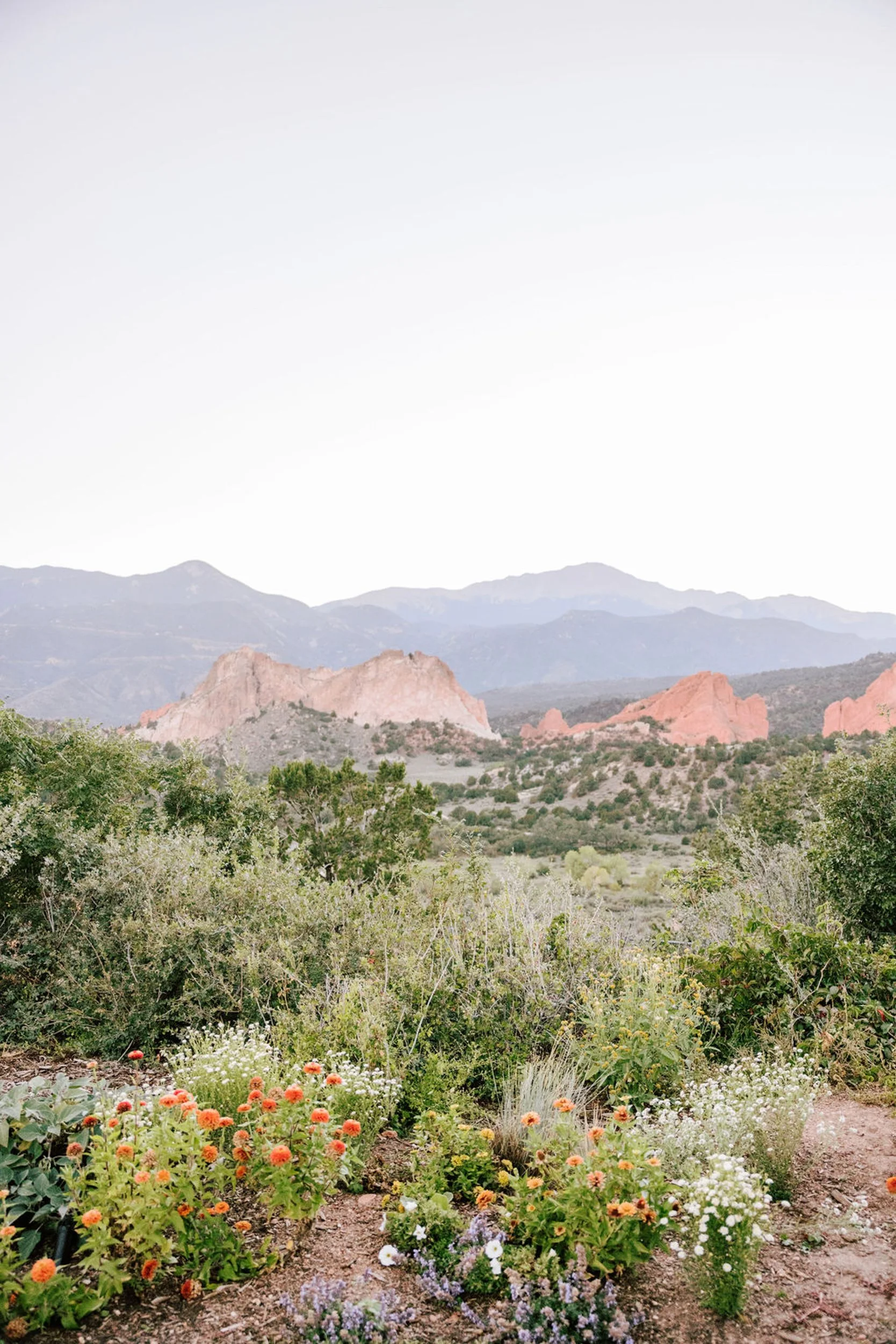 Panoramic view of red rock formations at Garden of the Gods in Colorado Springs, a popular wedding ceremony and portrait location