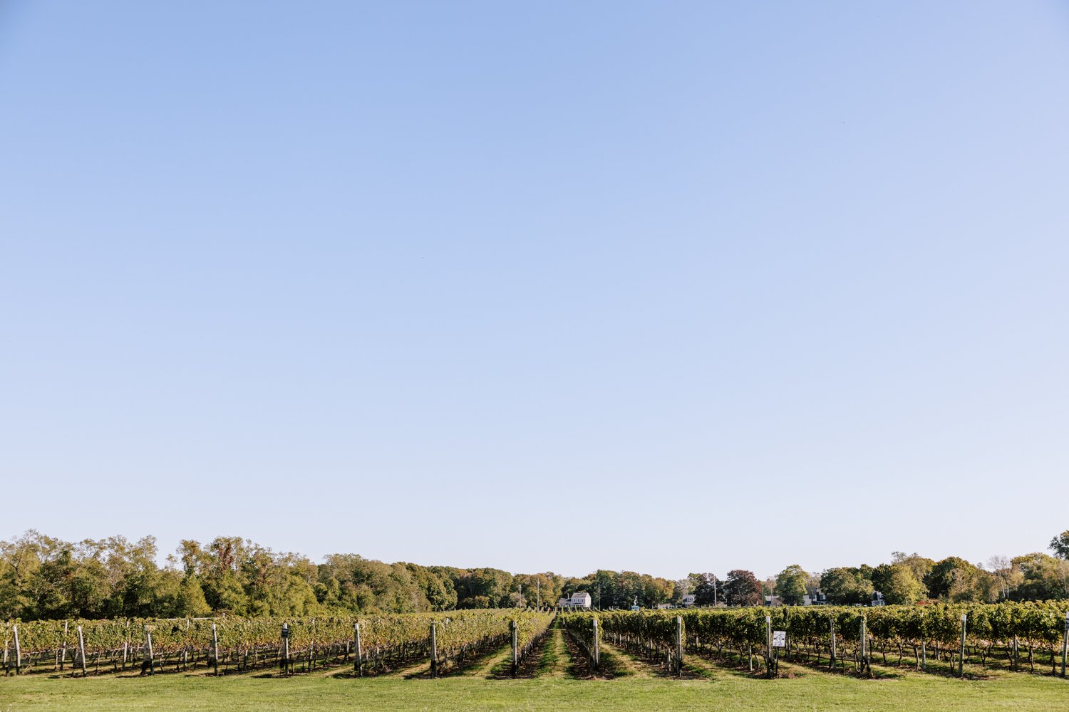 kontokosta-winery-wedding-photography-64.jpg