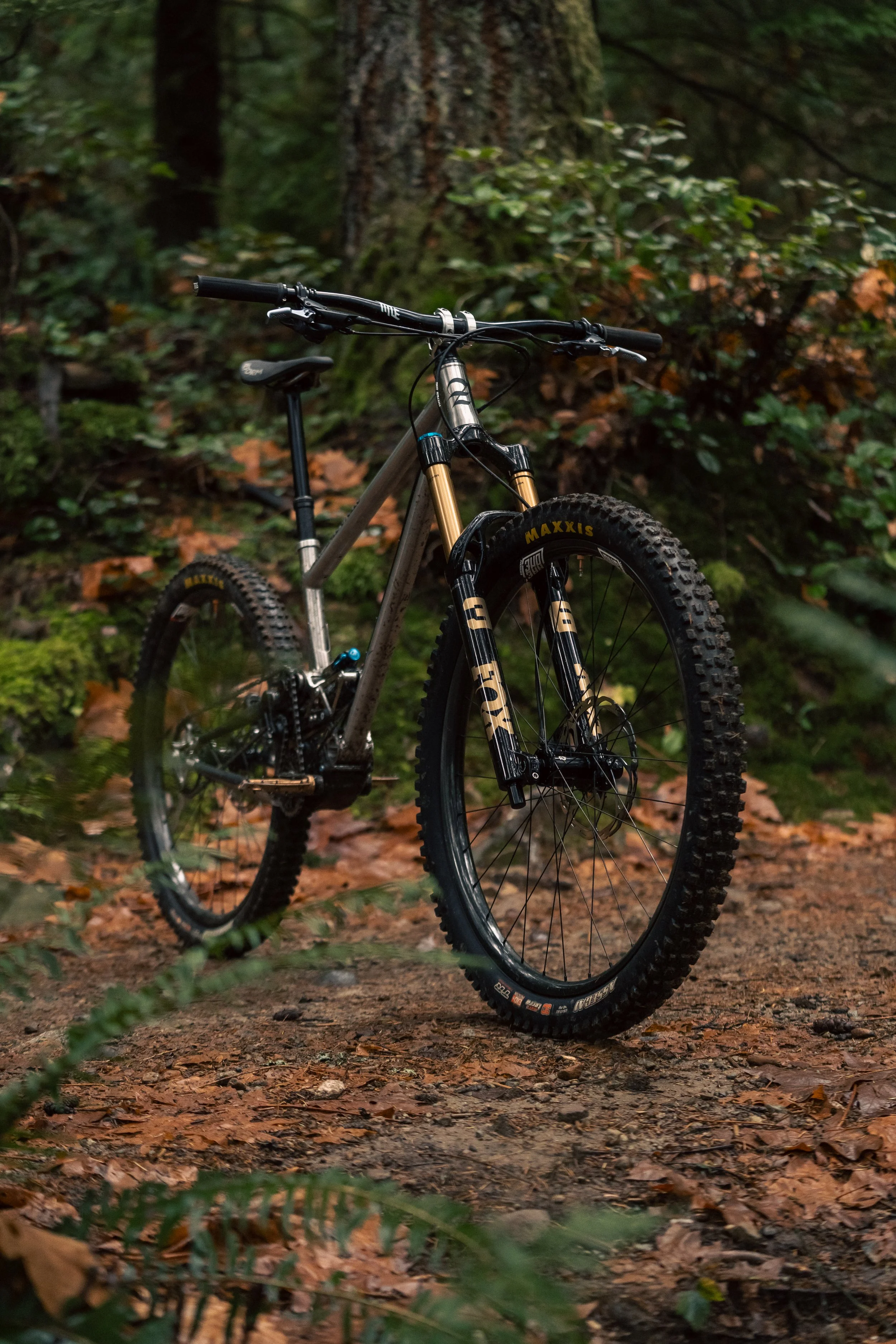 20251212_Archibald bike photo-33.jpg