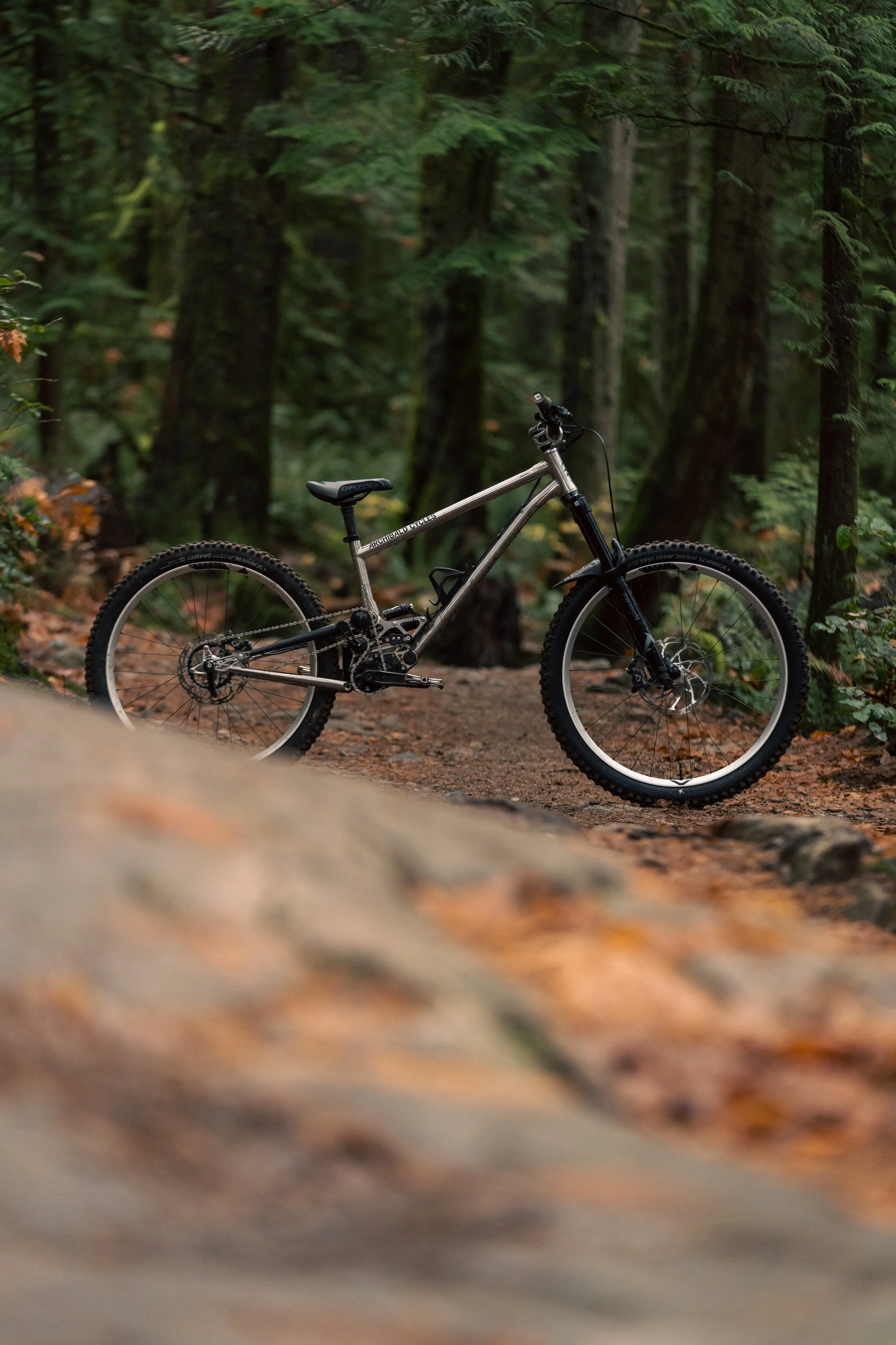 20251212_Archibald bike photo-45.jpg