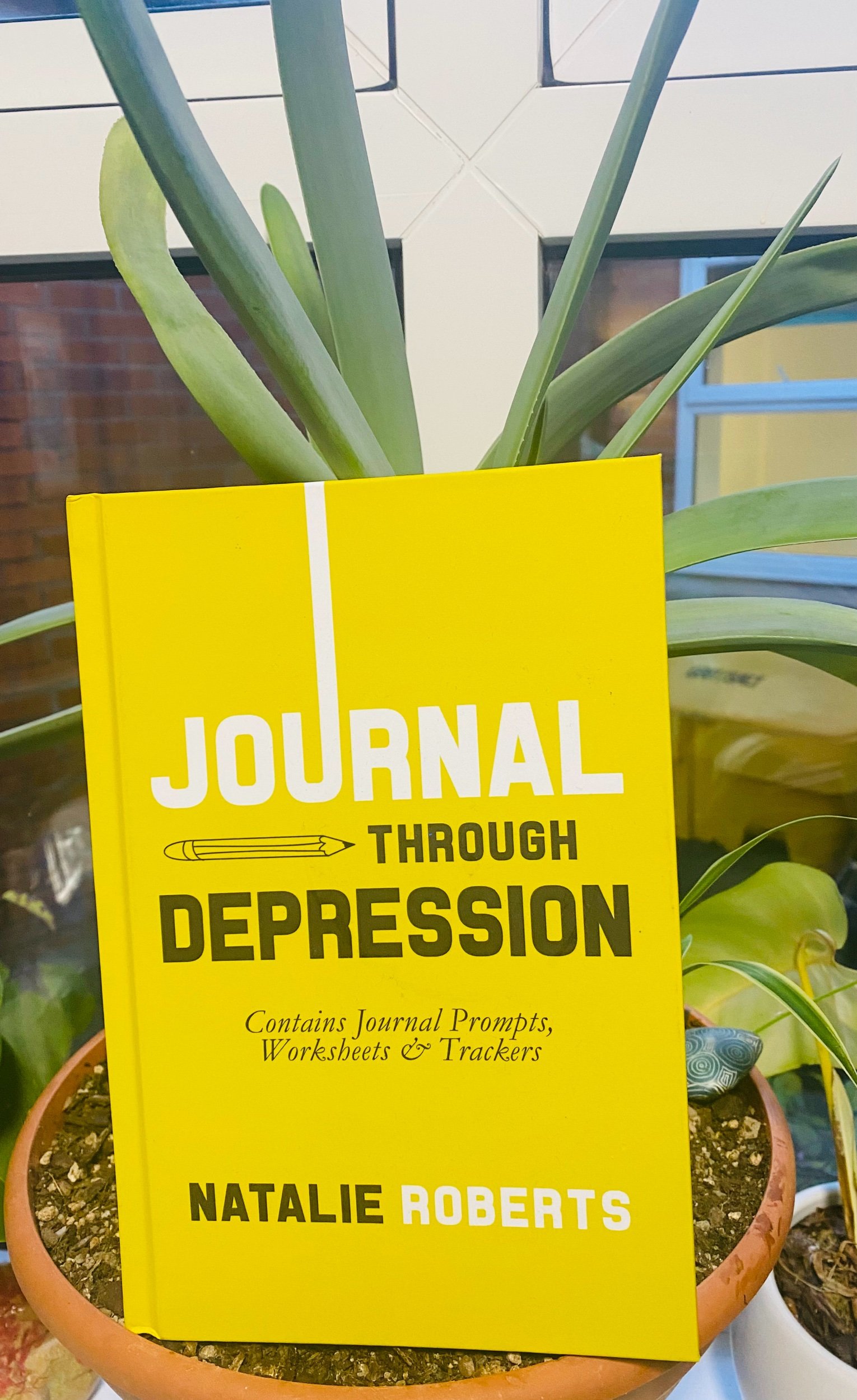 Journal Through Depression