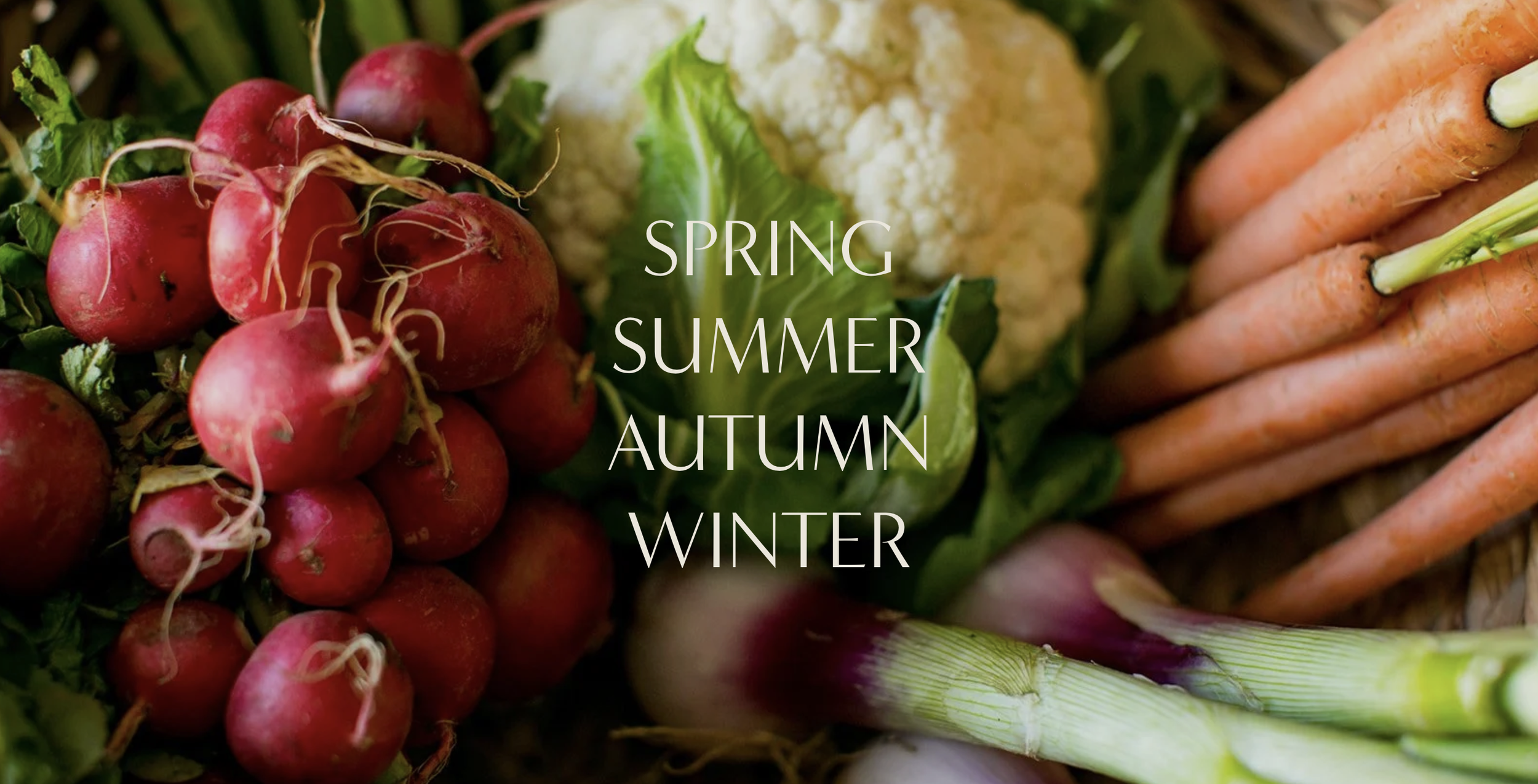 Screenshot 2026-01-07 at 12.31.19 PM.png