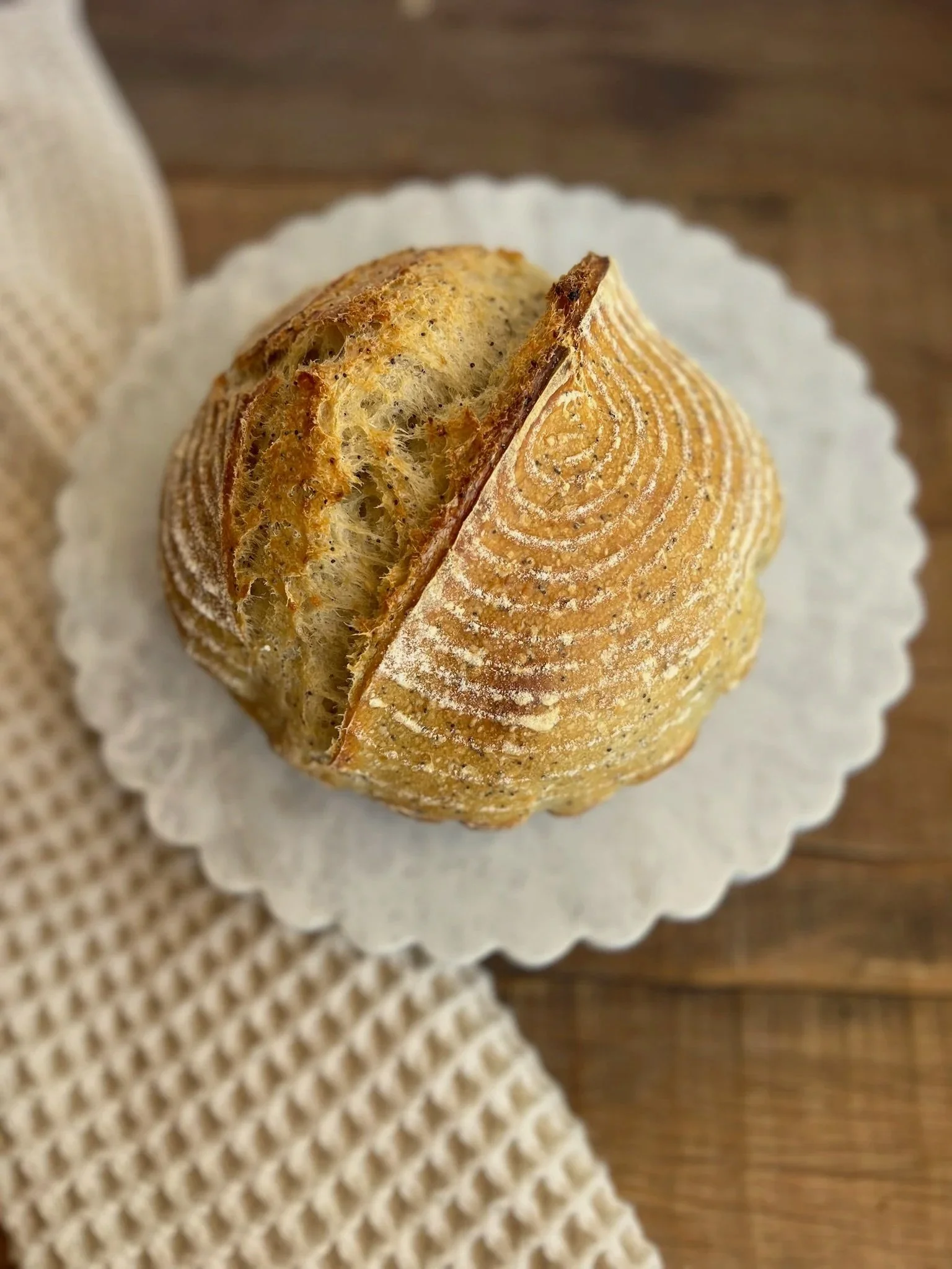 Bread Labs