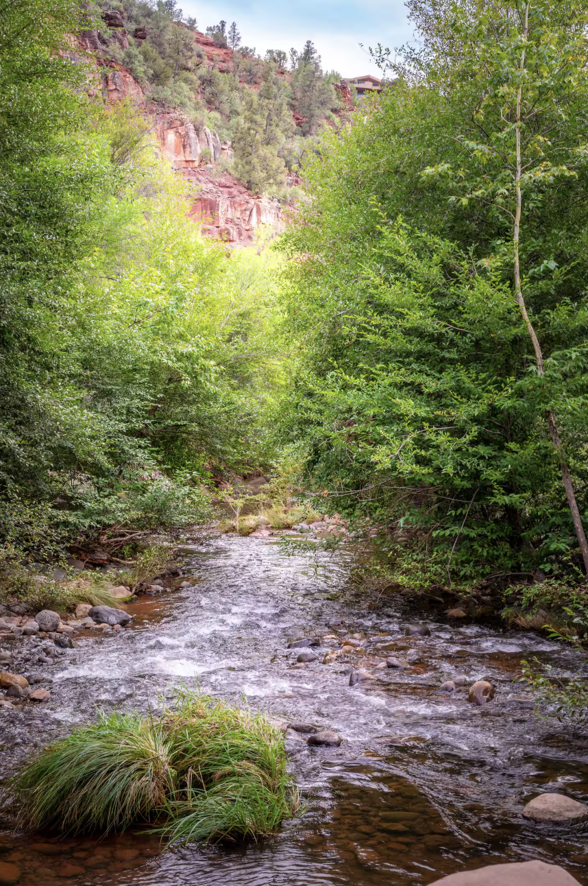 Screenshot 2025-01-31 at 3.26.51 PM.png