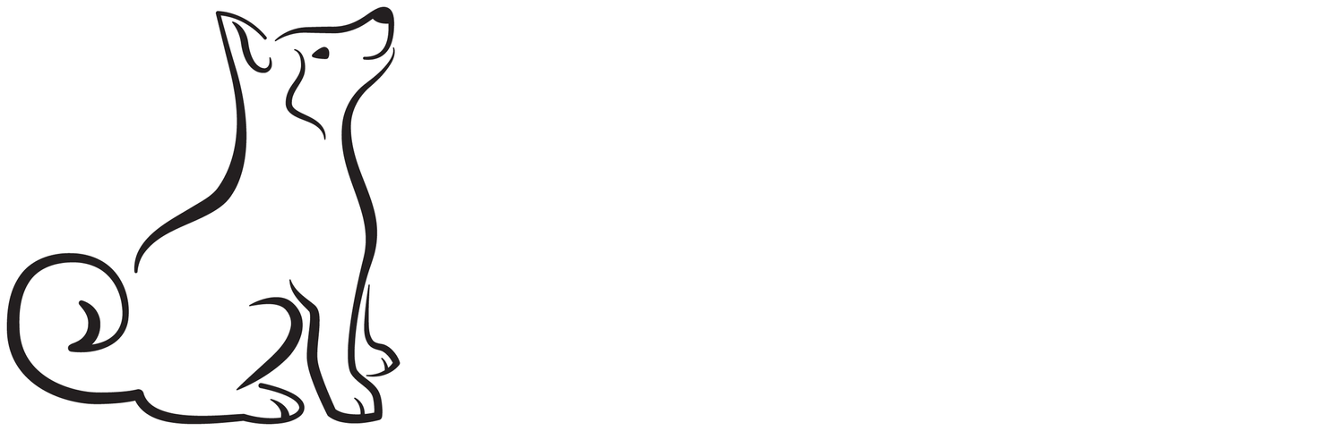 West Bay Pomsky