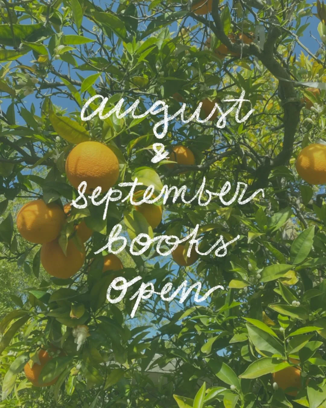 books open and fun new flash! 

dm me or use the link in my bio to book :)