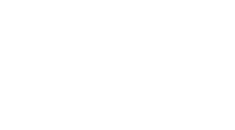 Dufferin Film Festival logo