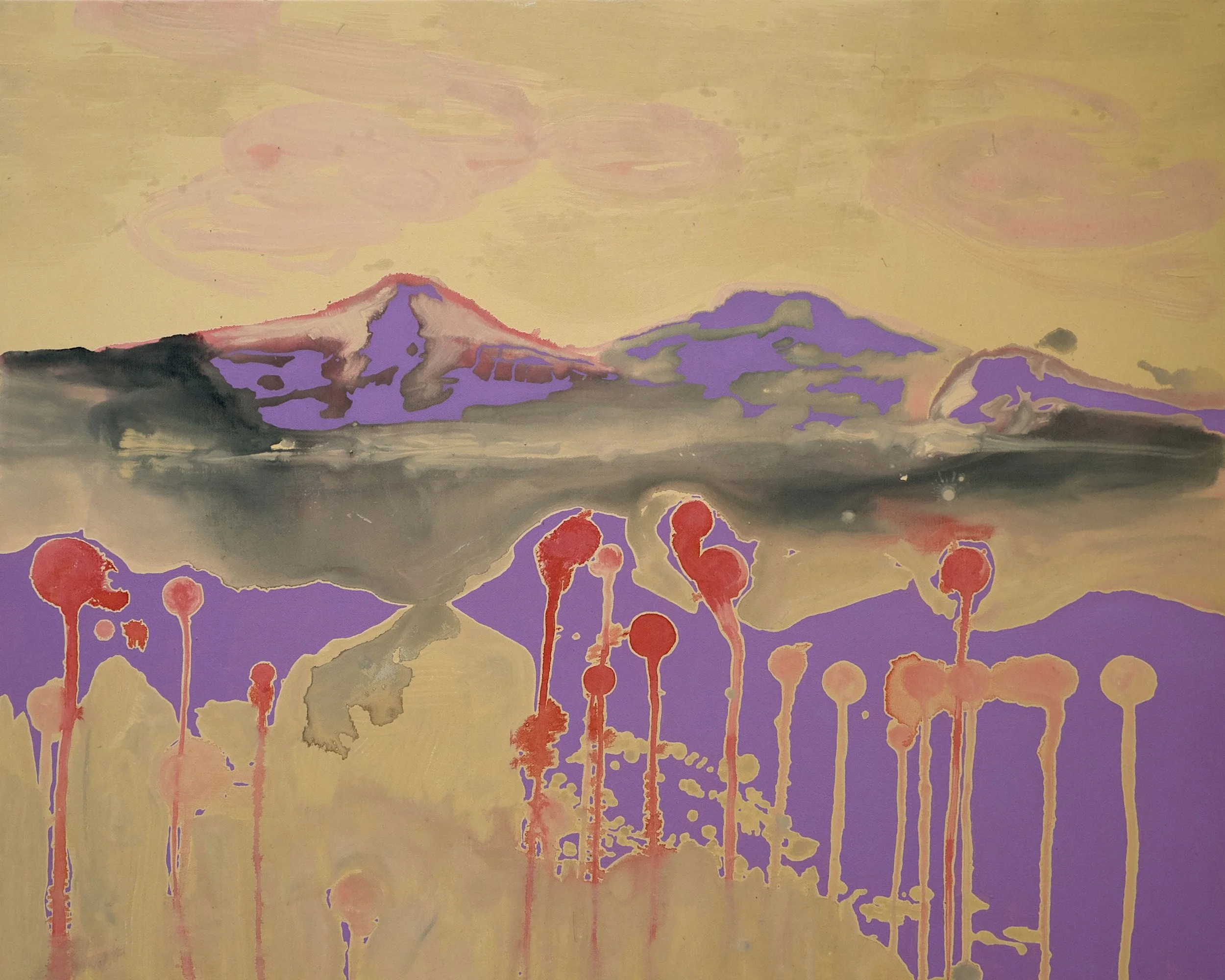 untitled, 2020
Tempera, ink and oil on canvas
80 x 100 cm