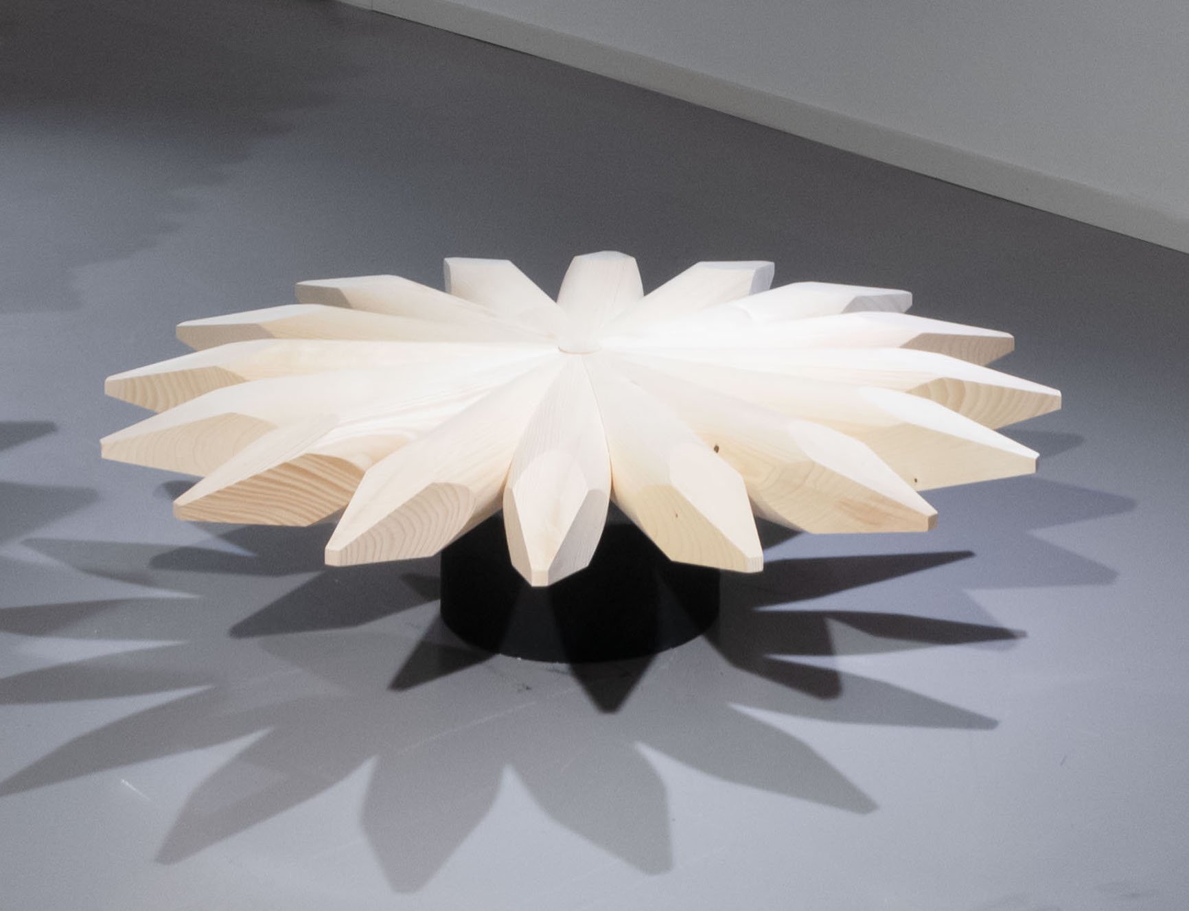 The Century of Measure, 2023
Wood
120 x 112 cm