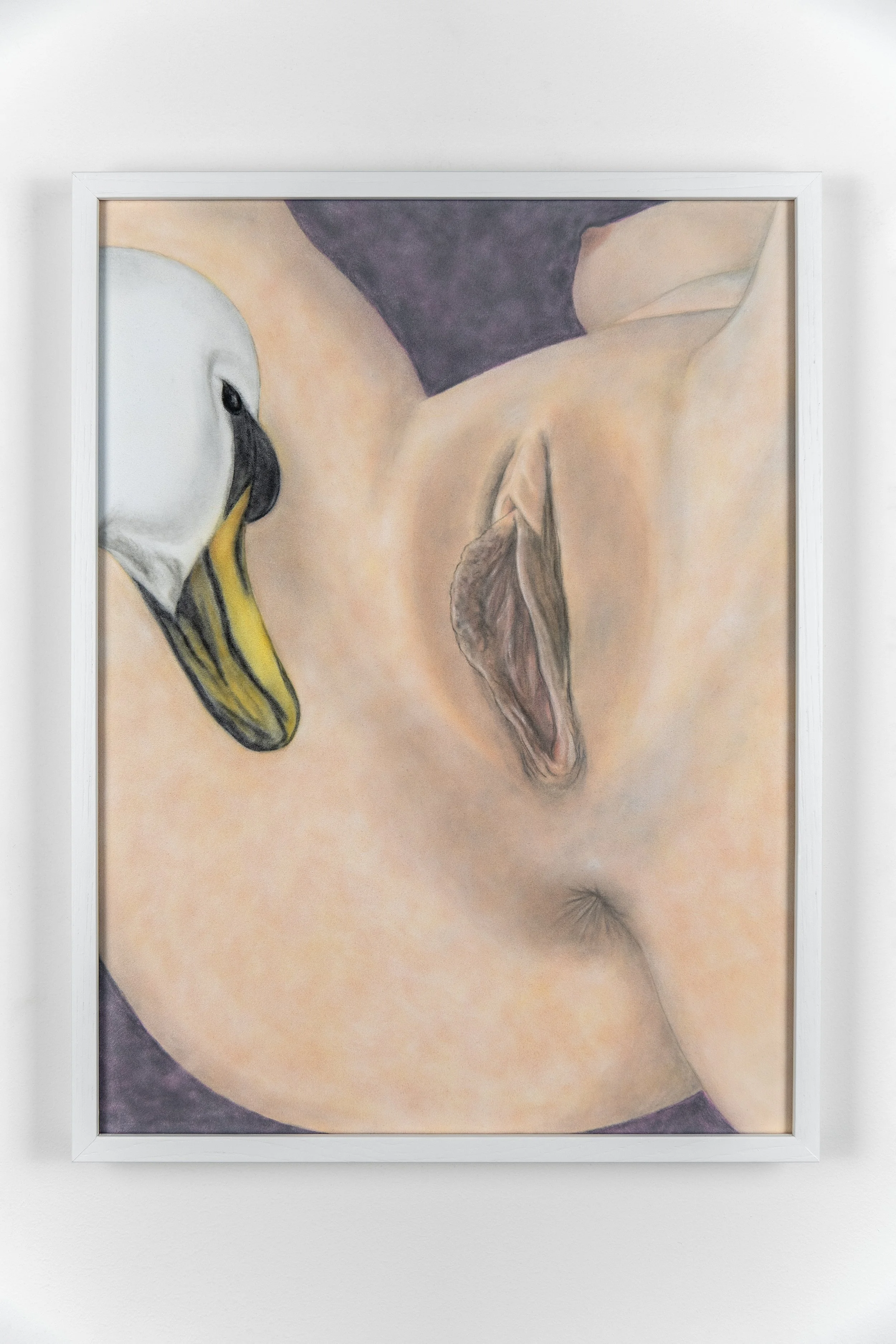 Adam Cruces
Leda And The Swan VIII, 2026
Pastel on velour, framed
49 x 37 cm