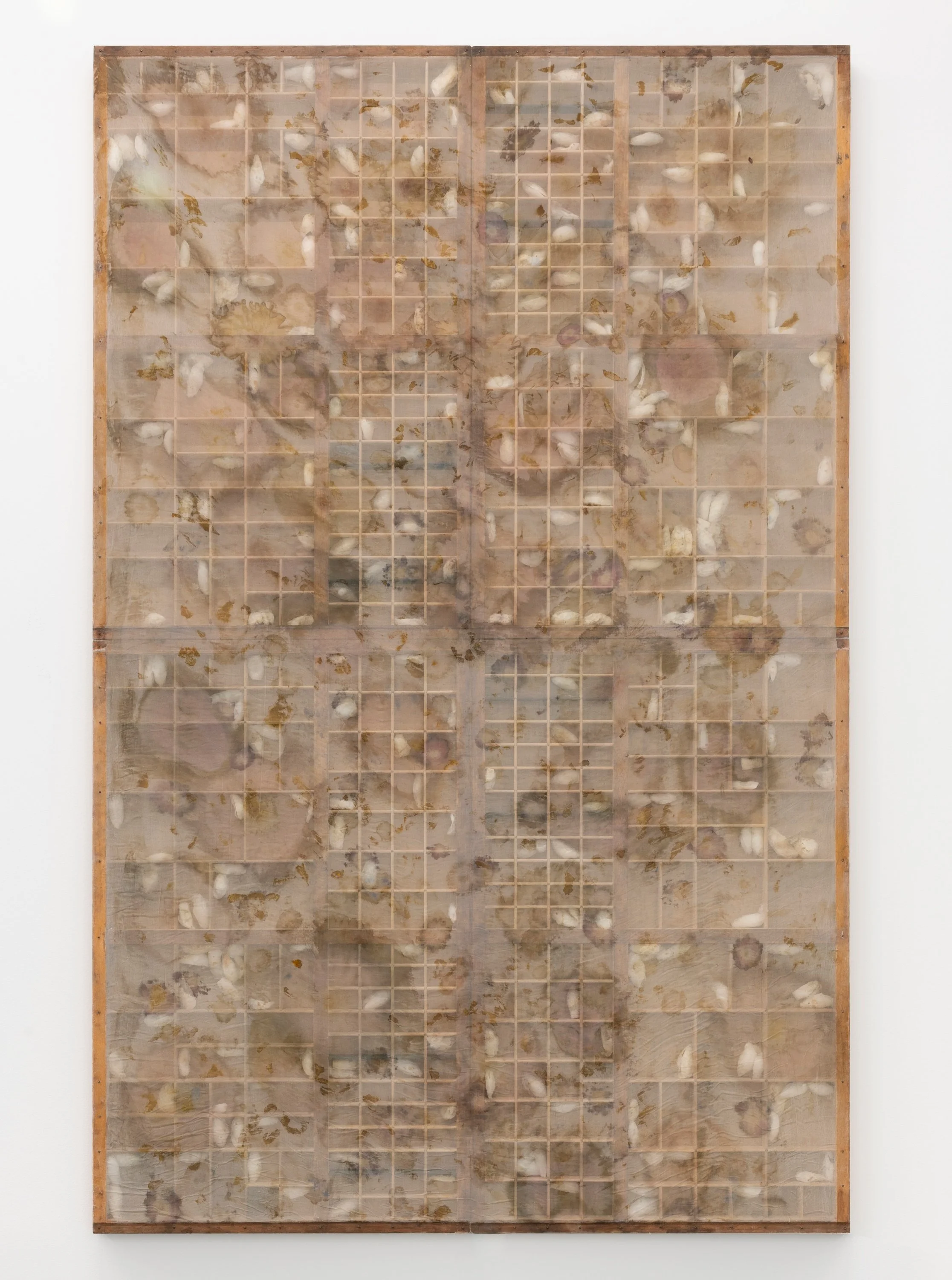 Mónica Mays
Shadow Box, 2024
Silk, wood, brass, flowers, Bombyx Moris
65 3/8 x 41 3/4 x 1 5/8 in  (166 x 106 x 4 cm)